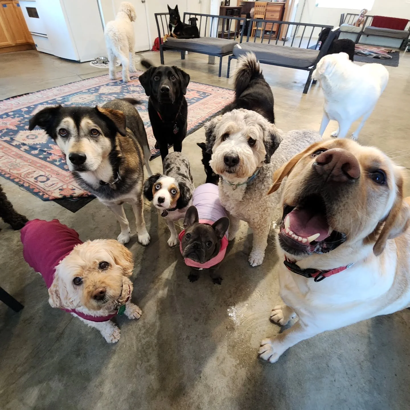 This wind is pretty blustery, but we're having fun both outside and inside on this Thursday!