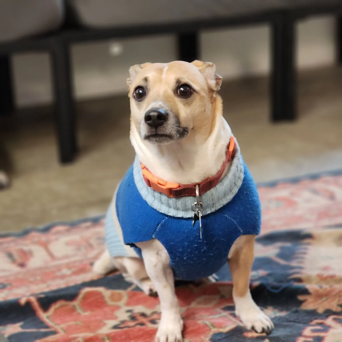 We're keeping it warm, dry, and indoors on this rainy Tuesday!