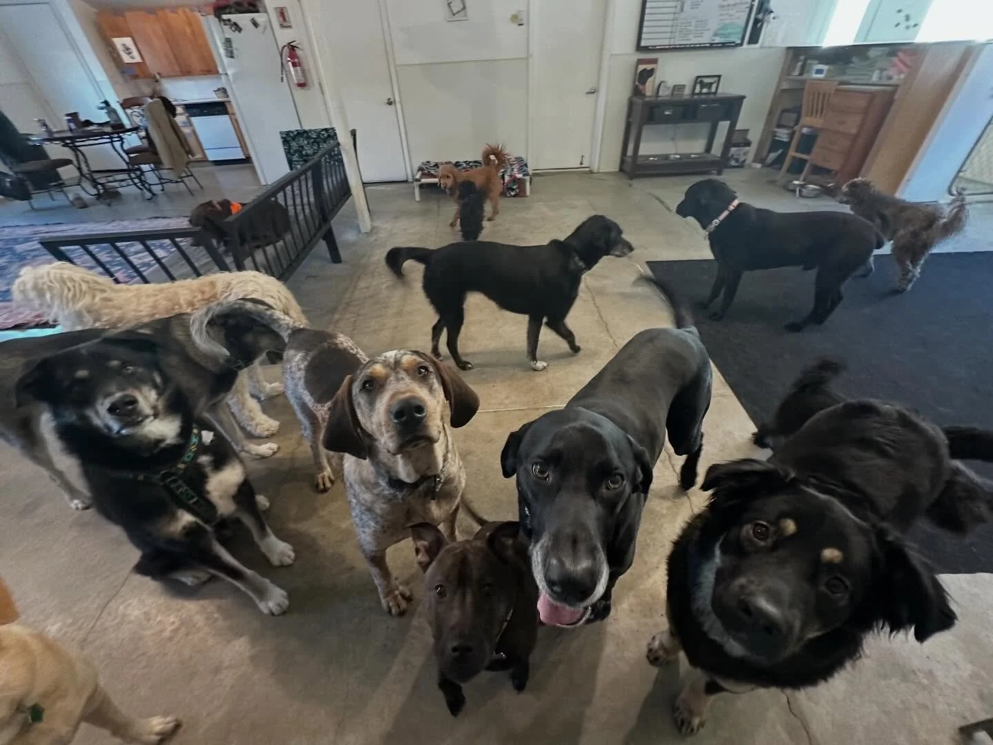 Have a sweet Wednesday🩷✨🐾