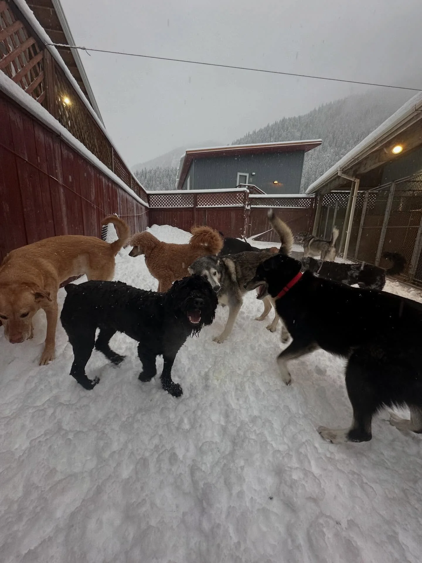 We love love loveeee the snow✨💕stay safe out there everyone!!