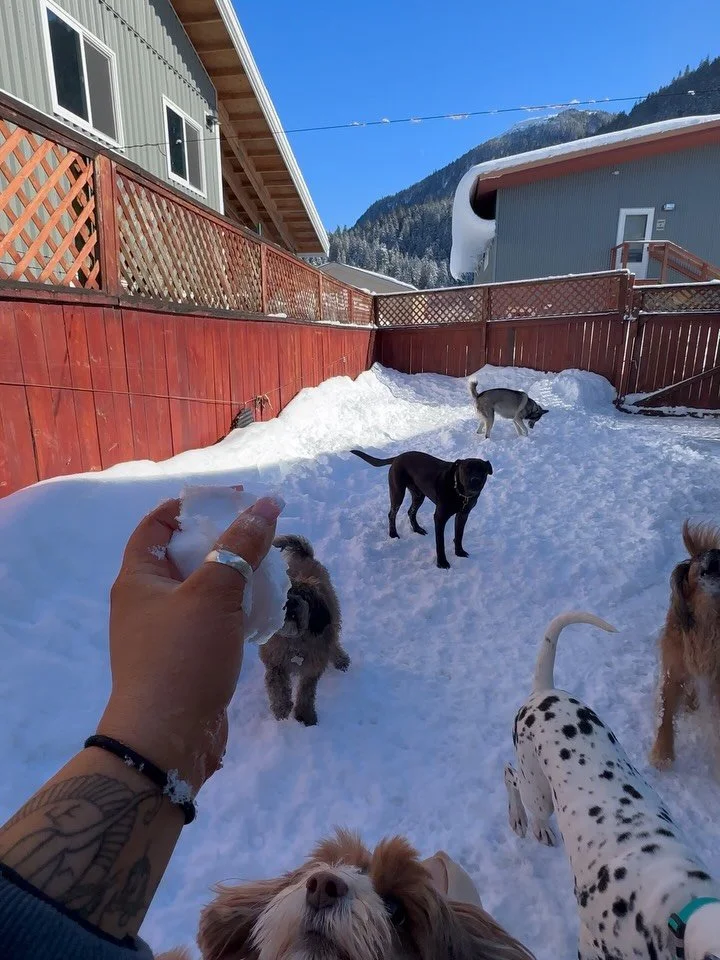 Pt. 2 we are enjoying this snow here!!!😍😍