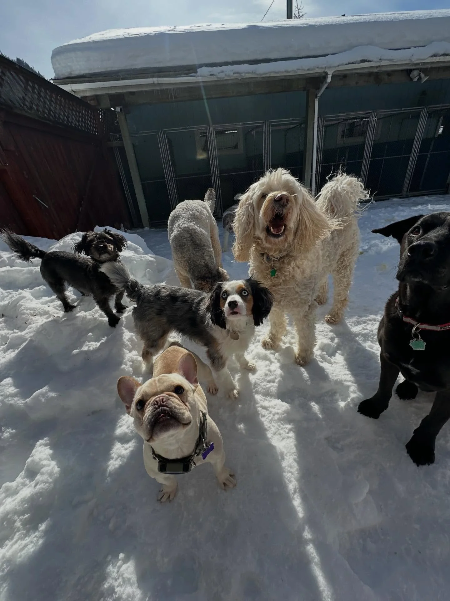 What a beautiful Wednesday🩷✨lots of playing and snuggling. Just dose of our sunshine&rsquo;s to bless your feed