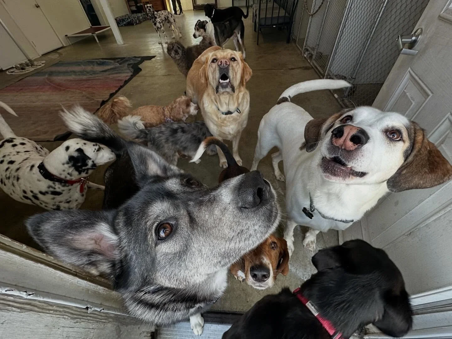 Pt 1 of this beautiful day we were having🥰🌞