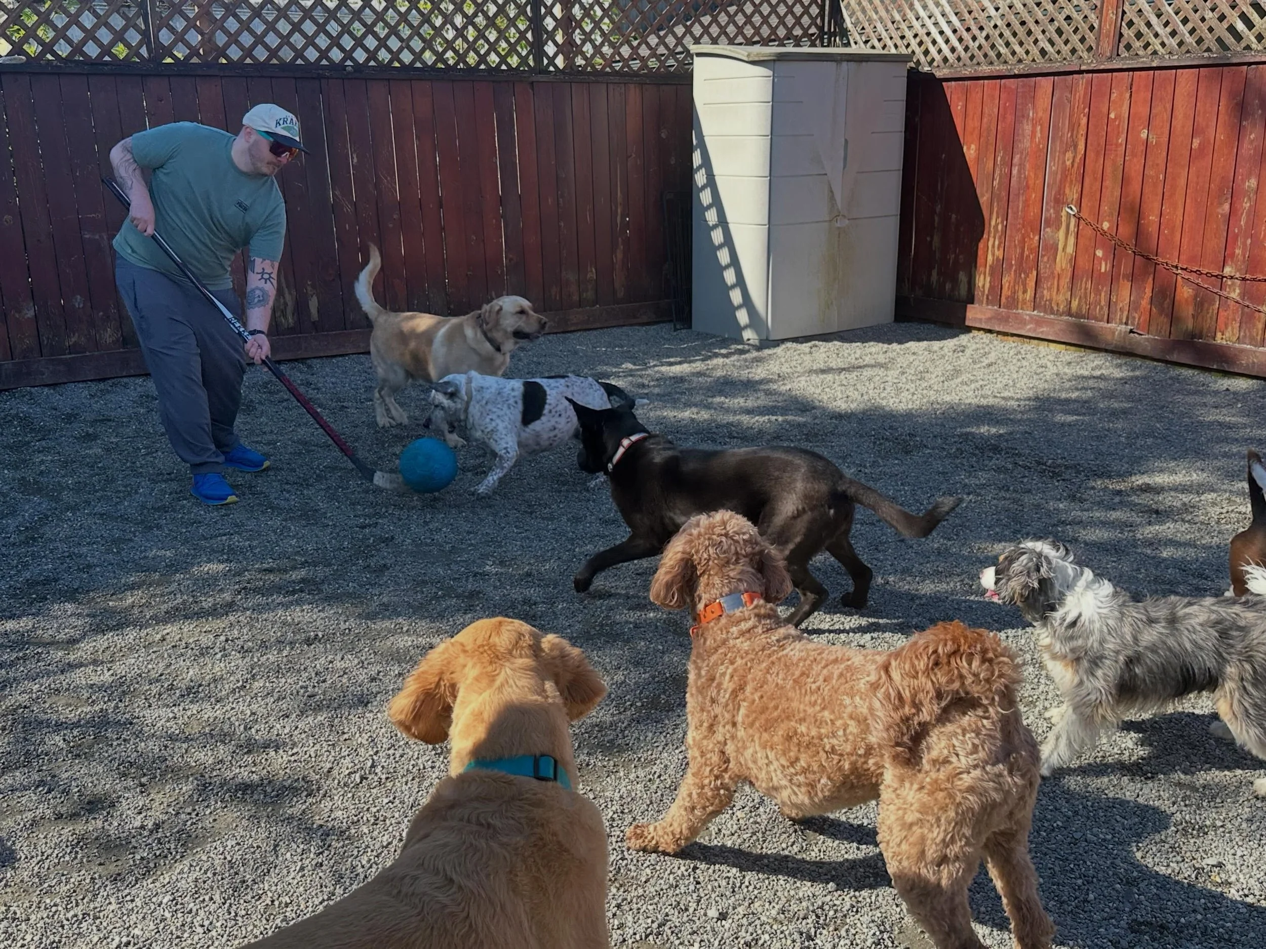 Outside fun ALLL DAY☀️💕✨ball, pool, sun bathing. We all are exhausted 🥰