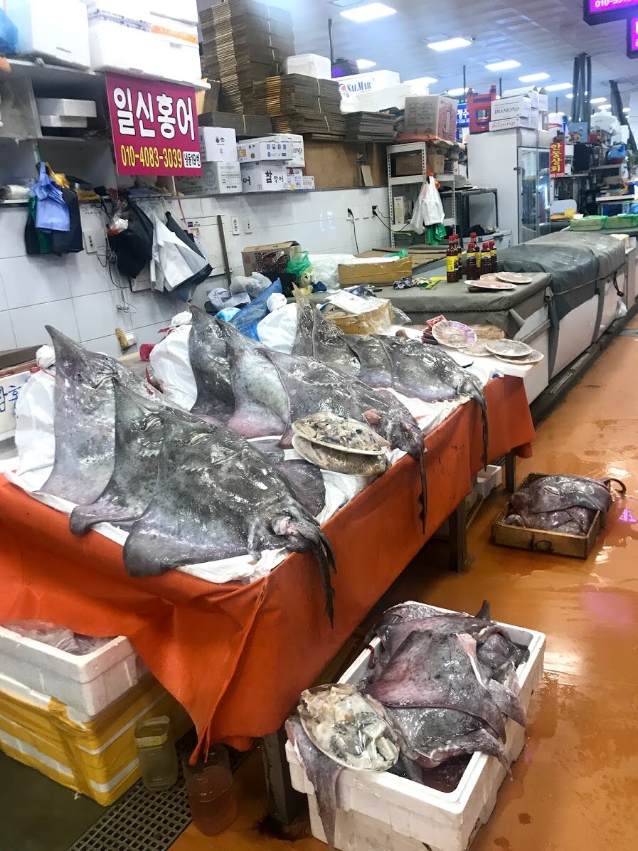 Noryangjin Fish Market in Seoul, South Korea