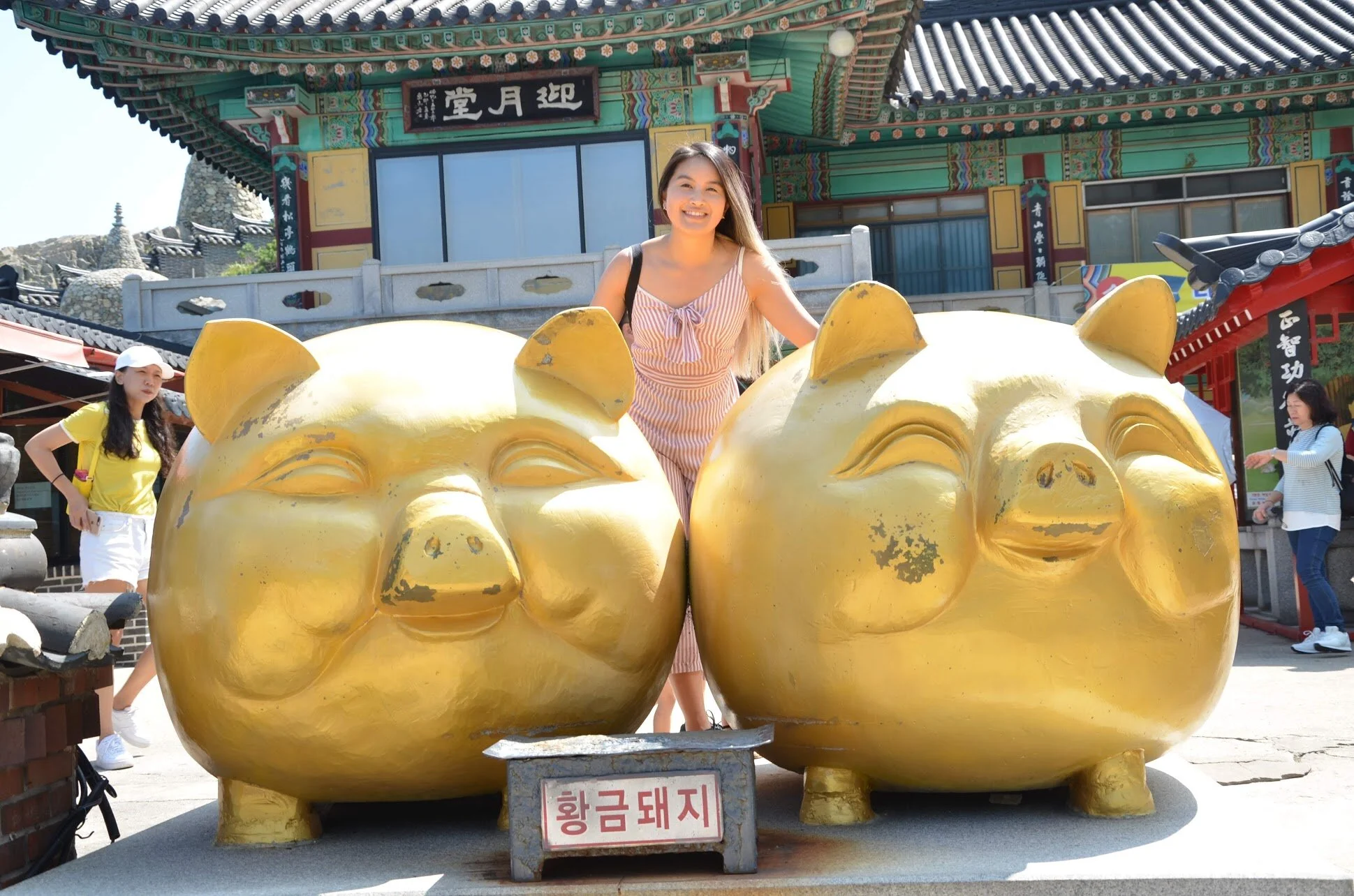 Golden pigs at the Haedong Yonggung Temple in Busan