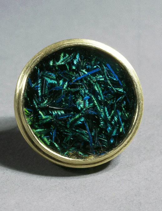 Pavo - Detail