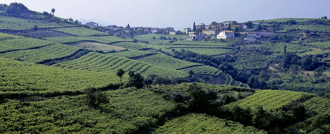 veneto2.jpg