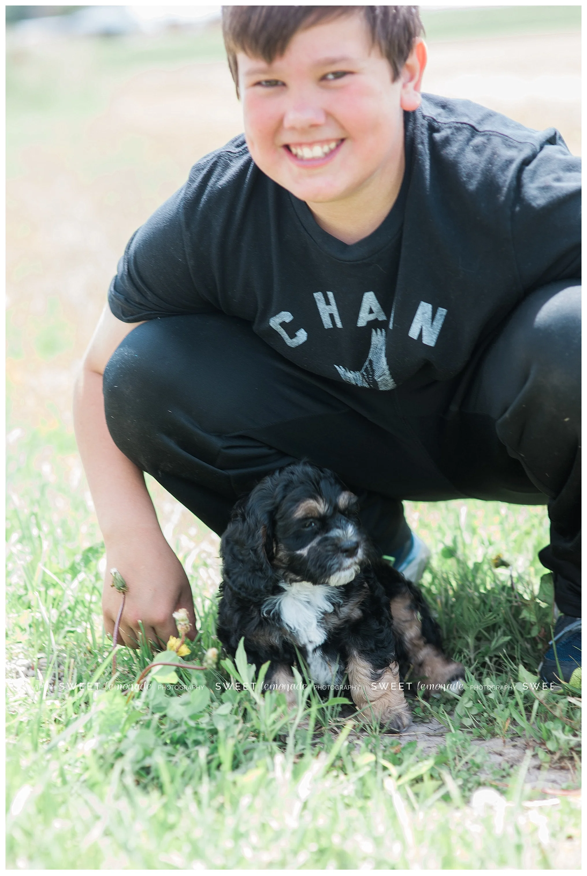 champaign-county-mahomet-illinois-pet-photographer-cavapoo-sweet-lemonade-photography_1085.jpg