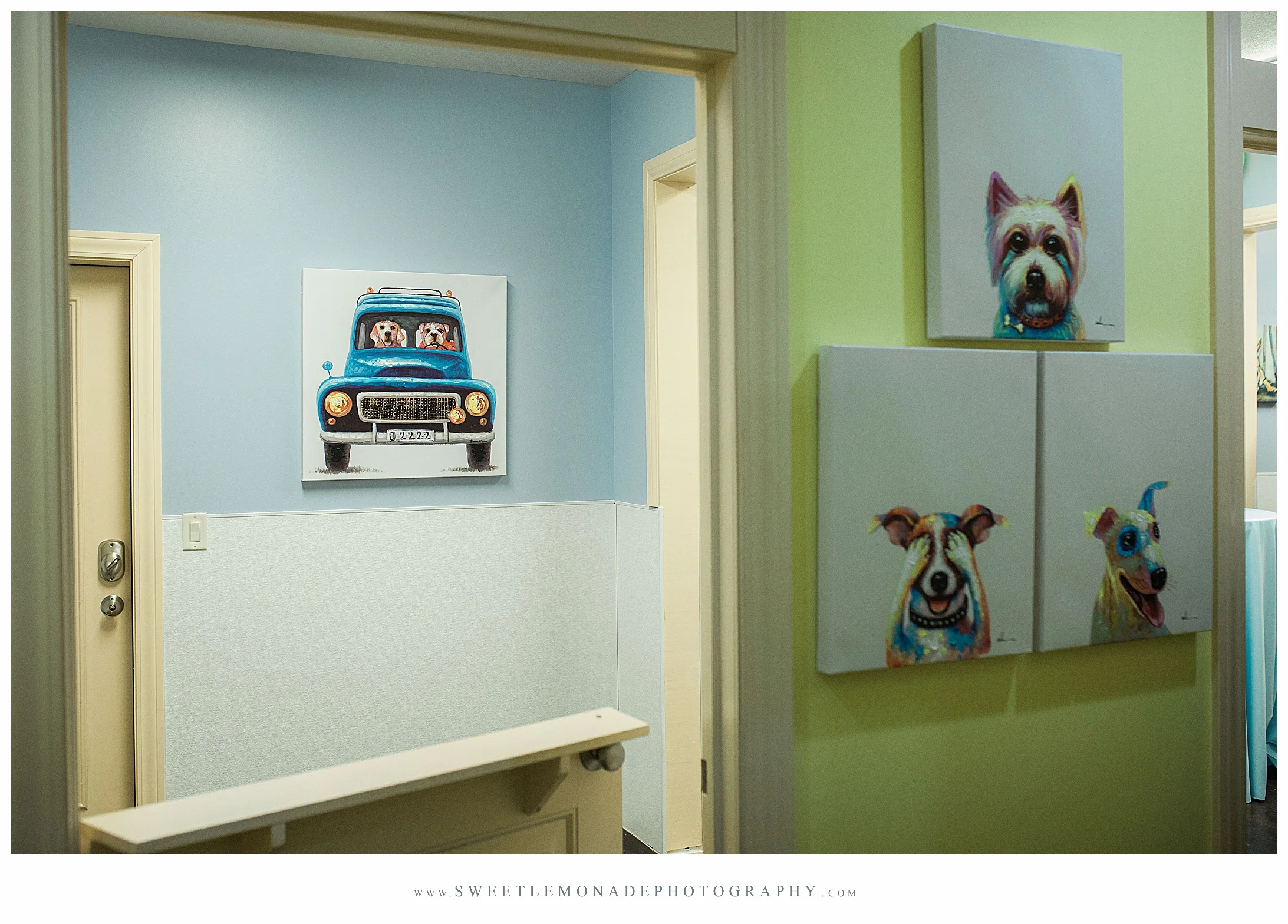 illinois-senior-photographer-ruff-dayz-mahomet-dog-boarding-daycare_2347.jpg