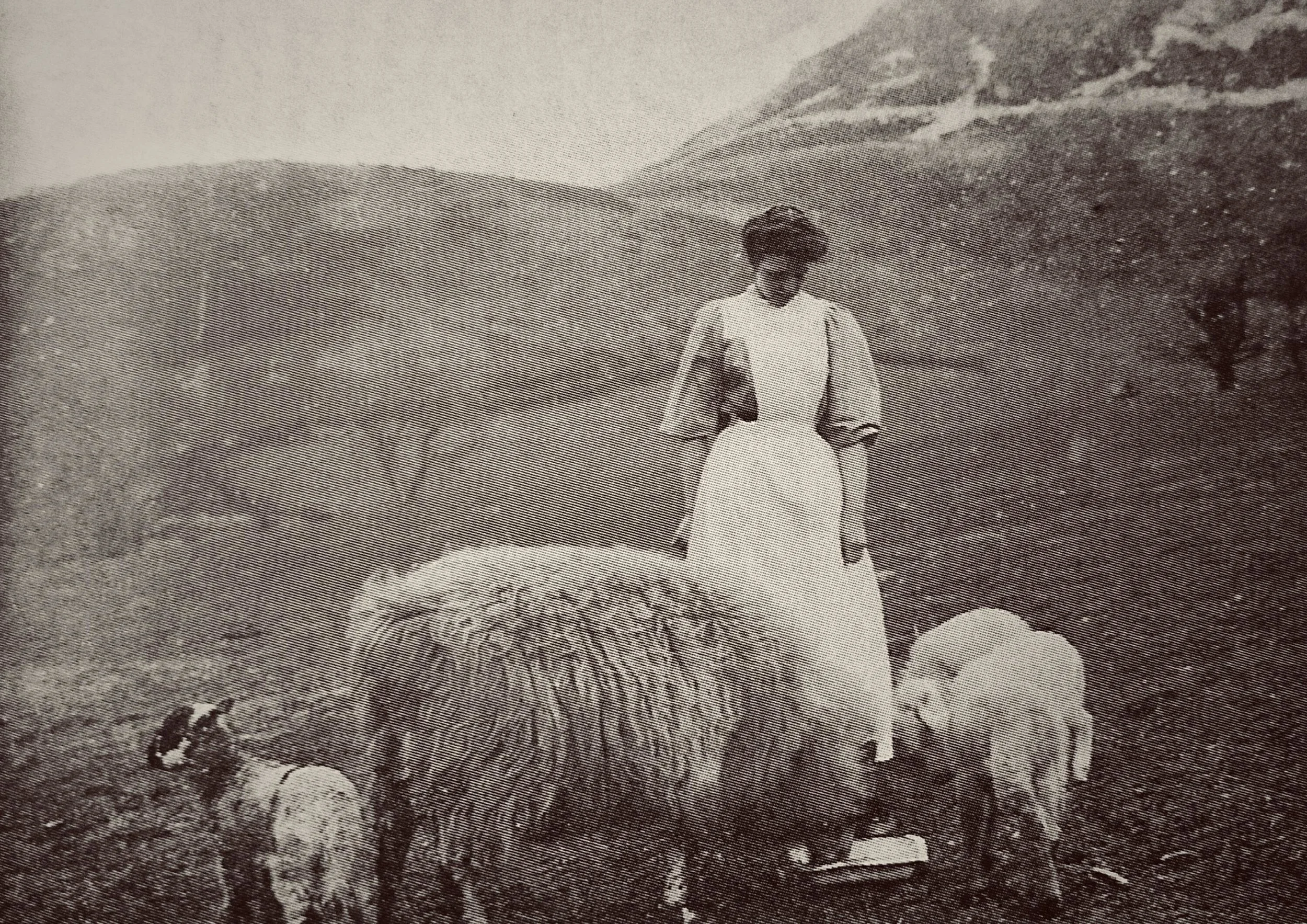 Farming in Penmaenmawr.jpg