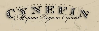 Cynefin Project Link Banner.jpg
