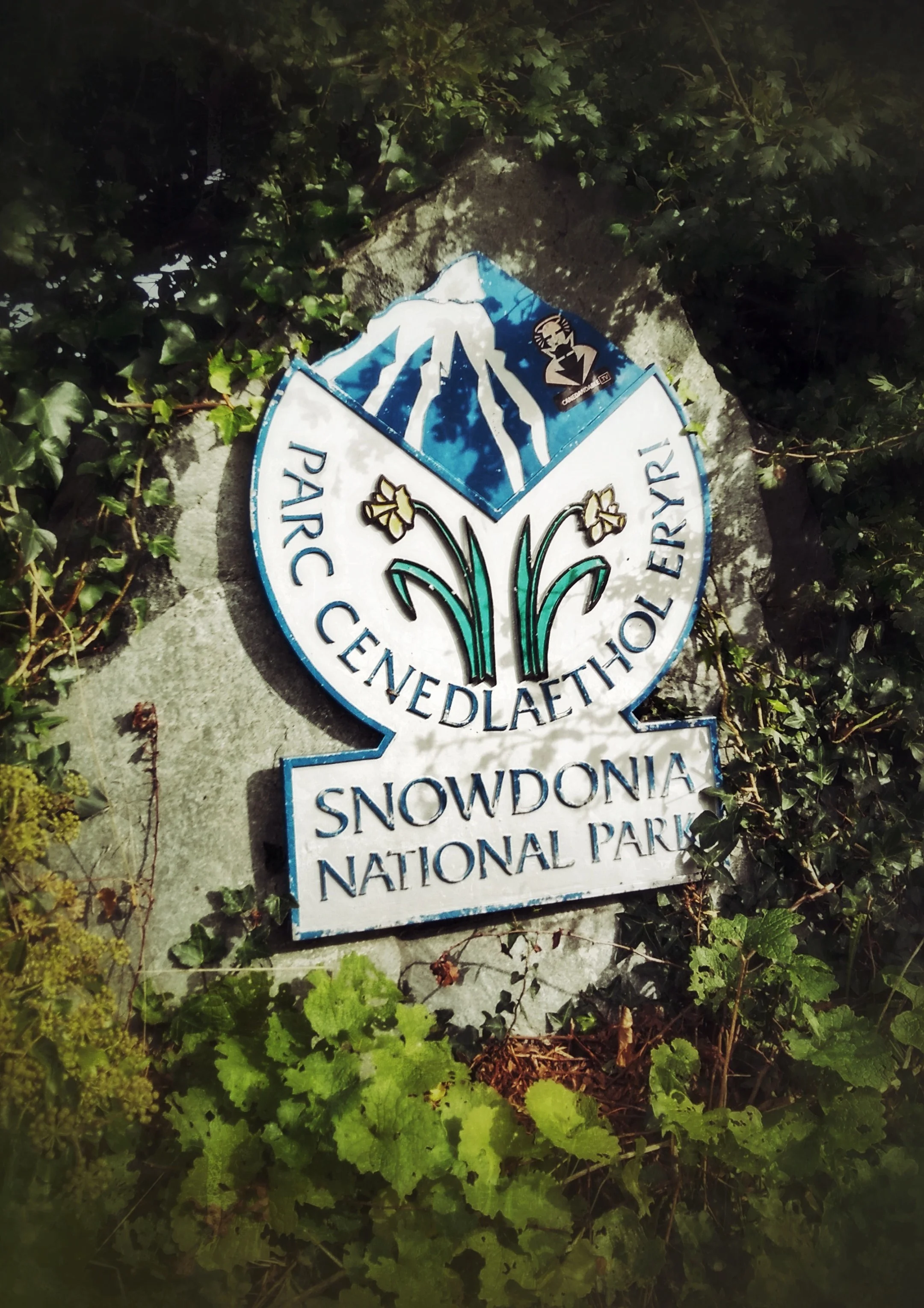 Carneddau Pop In 01.jpeg
