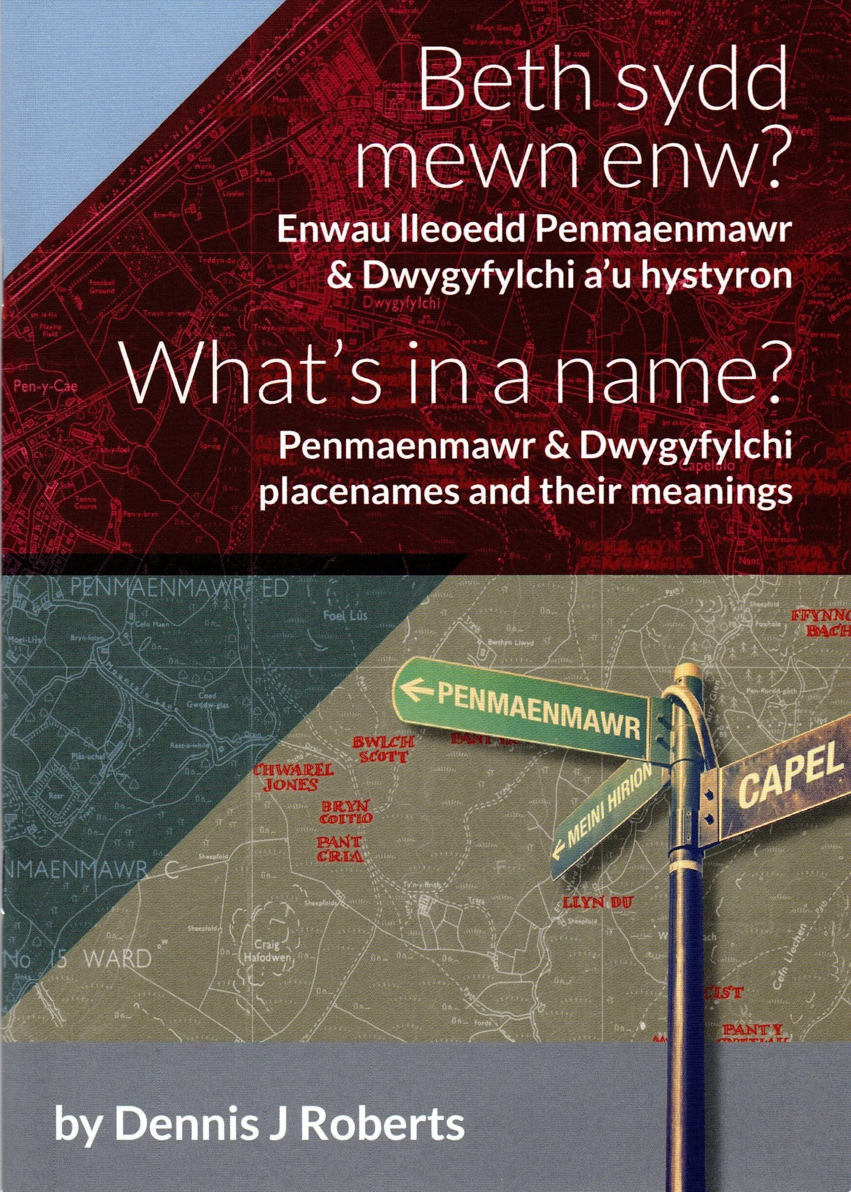 What's in a Name? - Booklet by Dennis J Roberts
