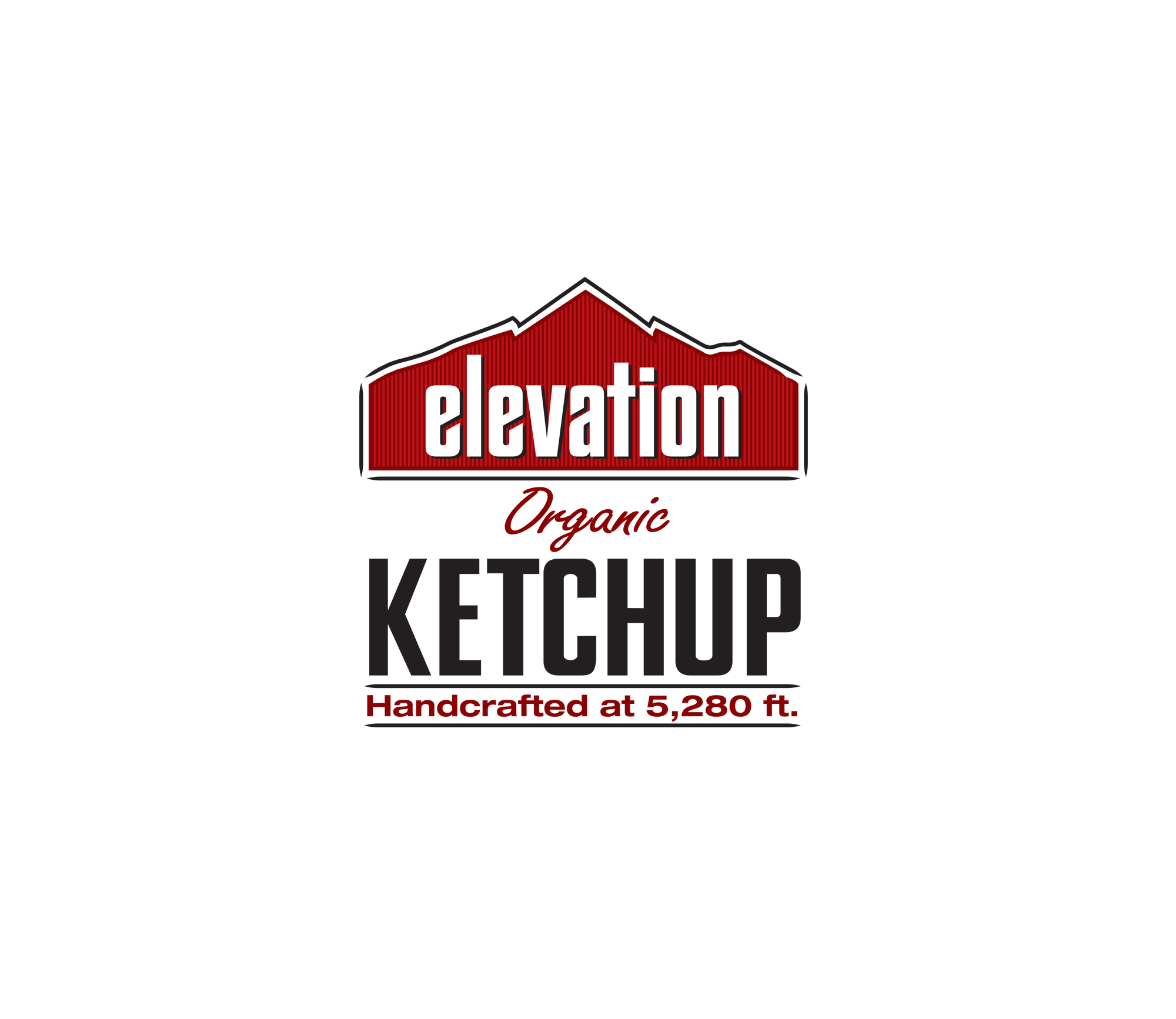 elevation ketchup logo.jpg