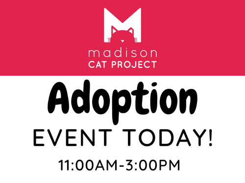 May Adoption Fair 1