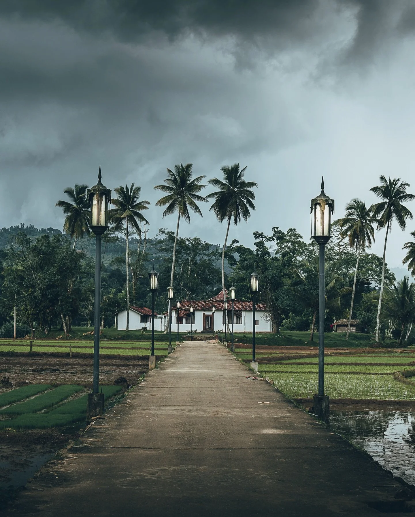 🌾 Temples et rizi&egrave;res

Au c&oelig;ur des rizi&egrave;res, deux lieux de culte cohabitent, c&ocirc;te &agrave; c&ocirc;te. Un ancien temple bouddhiste propice au recueillement, et un sanctuaire d&eacute;di&eacute; &agrave; Kataragama, plus viv