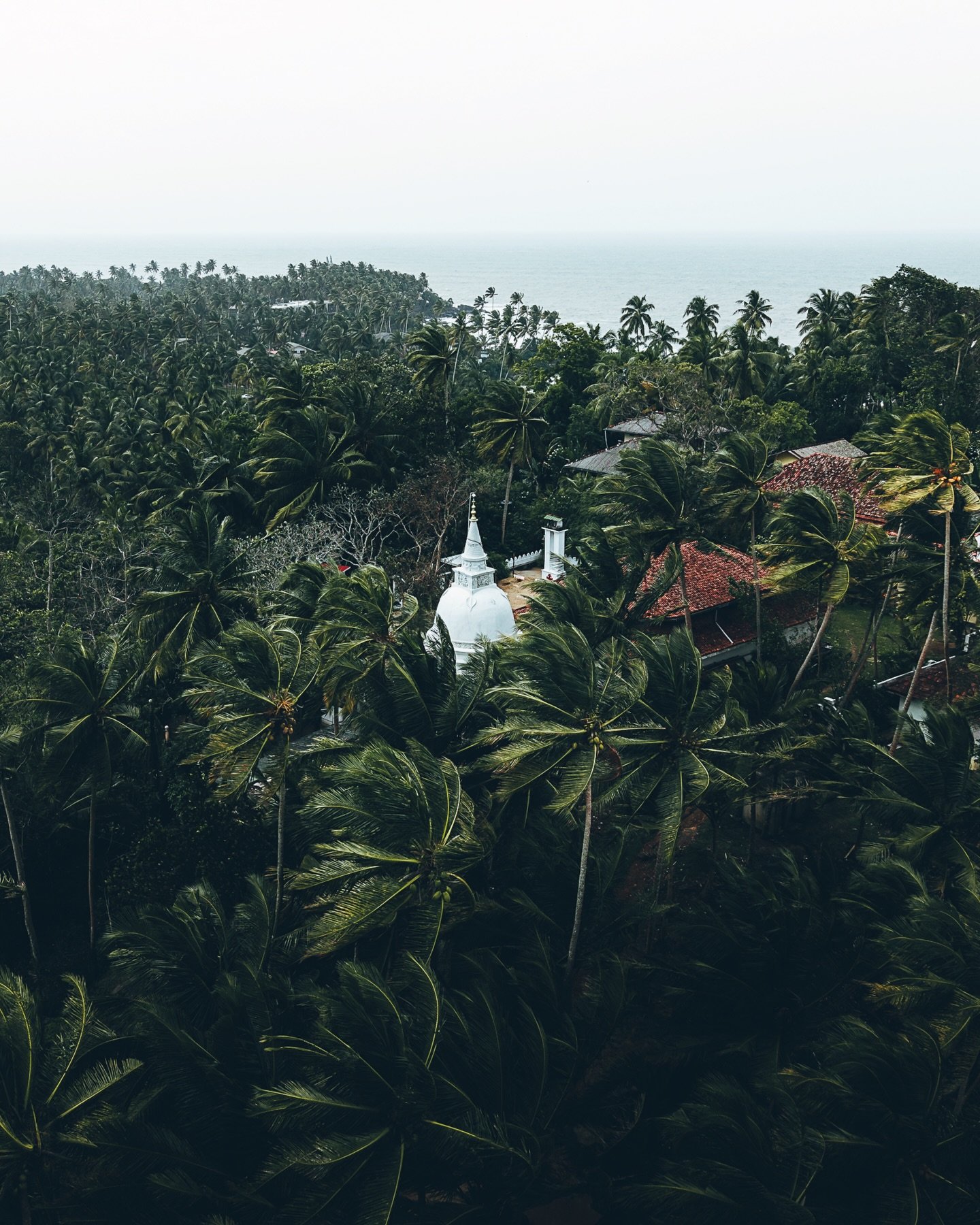 🌴&nbsp;Ahungalla Point

Pris dans le cyclone Ditwah, la c&ocirc;te r&eacute;v&egrave;le toute sa puissance.

Le vent plie les palmiers, la mer s&rsquo;agite, et le paysage devient plus brut, presque indompt&eacute;.

📍 Ahungalla &middot; Sri Lanka
