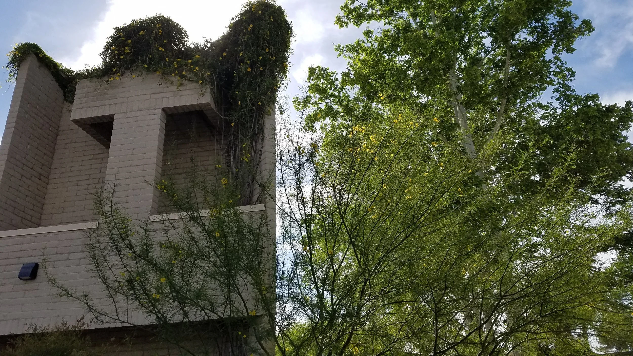 Saguaro Christian Church 3