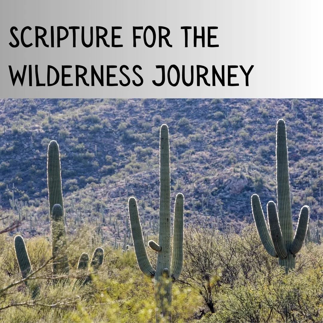 Scripture for the Wilderness Journey
