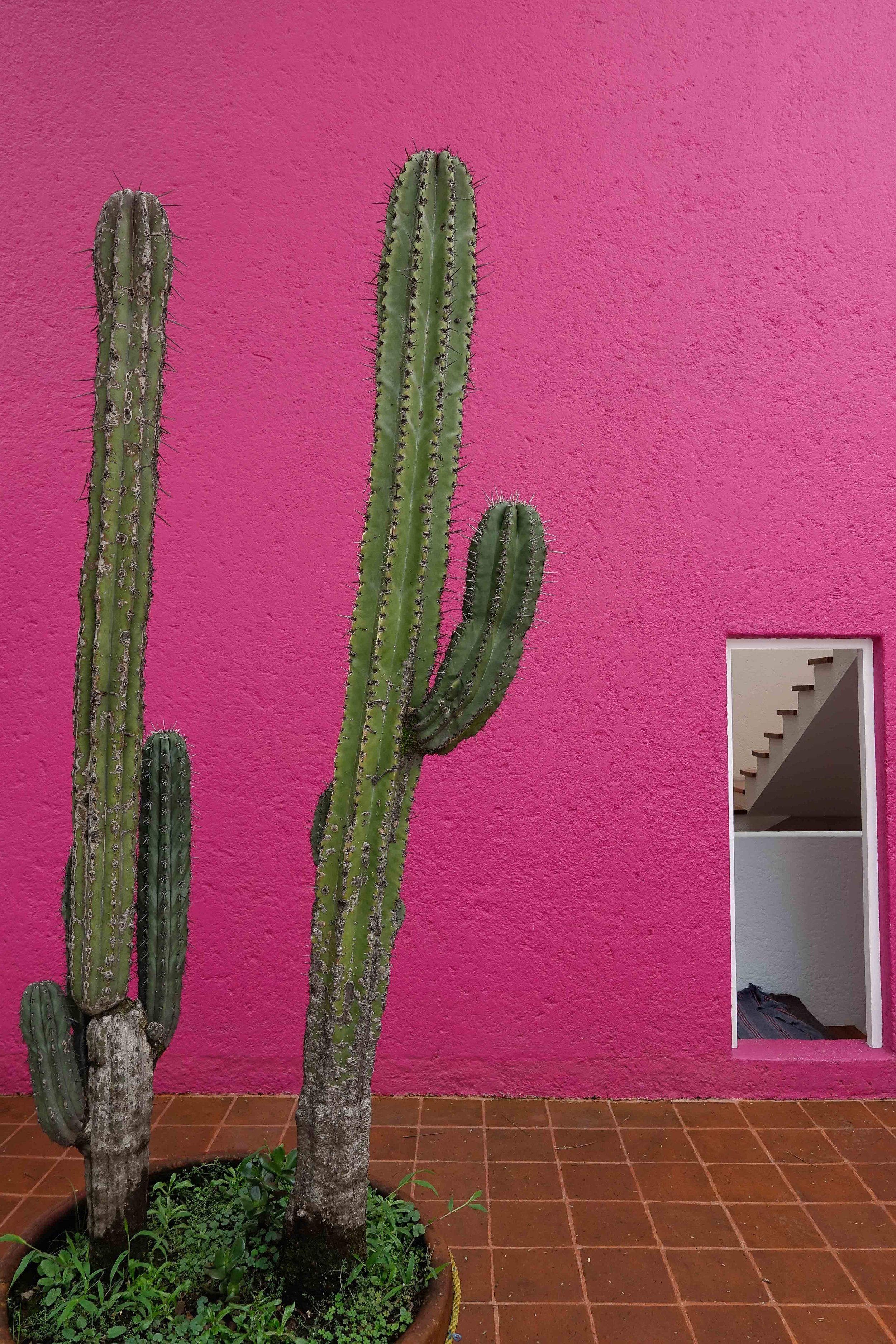 Color blocking 101: an architecture tour of Luis Barragán’s Mexico City
