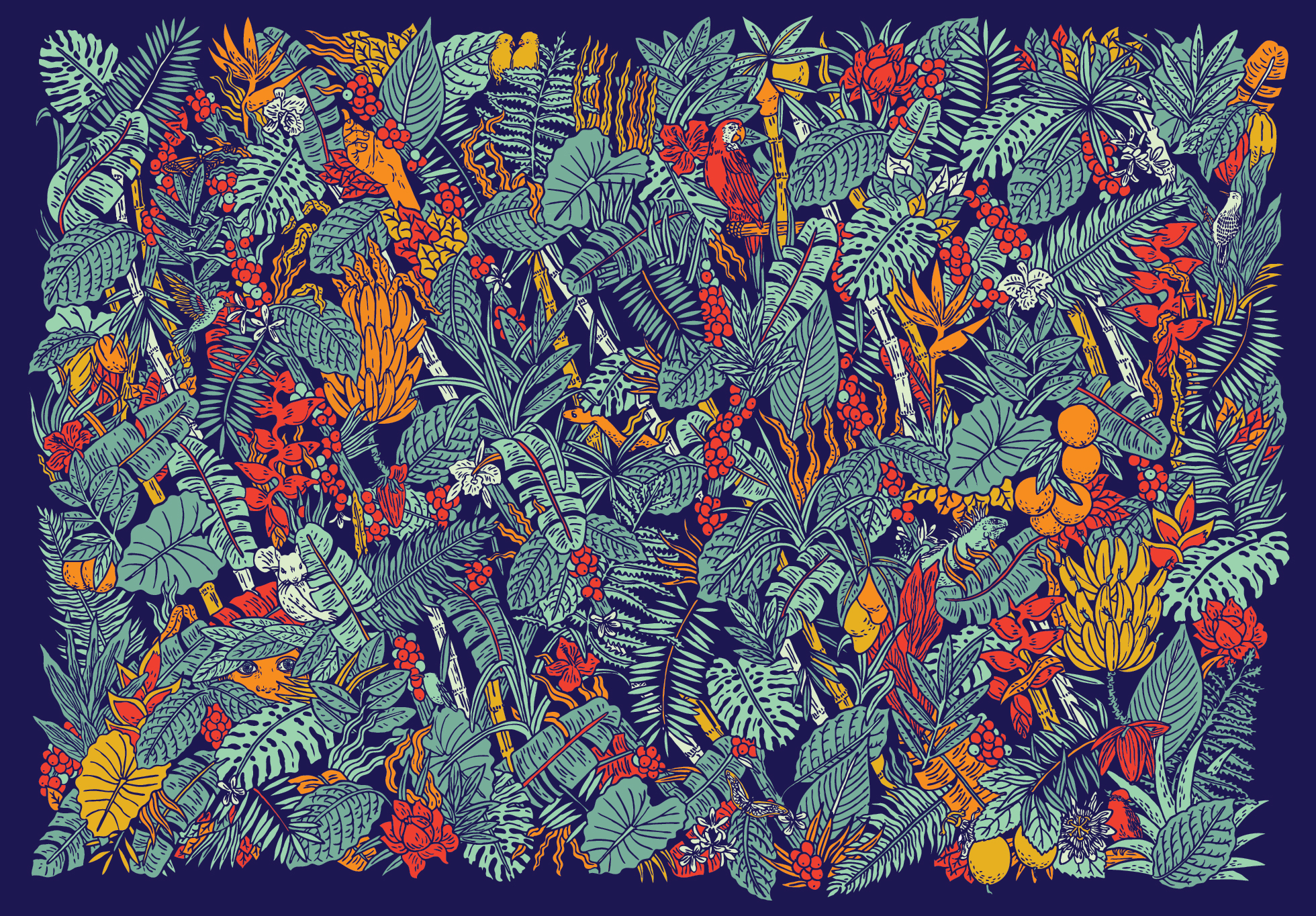 Ilustracion_Colo.jpg