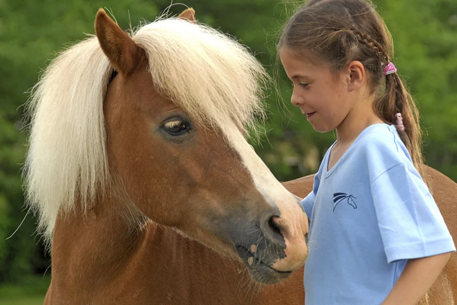 demipensions-epona.jpg