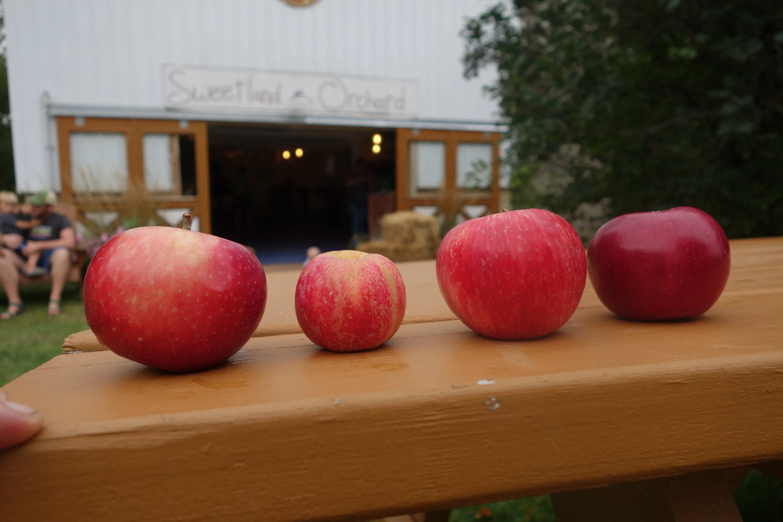2017-09-16 17.27.02 Week Two Apples.jpg