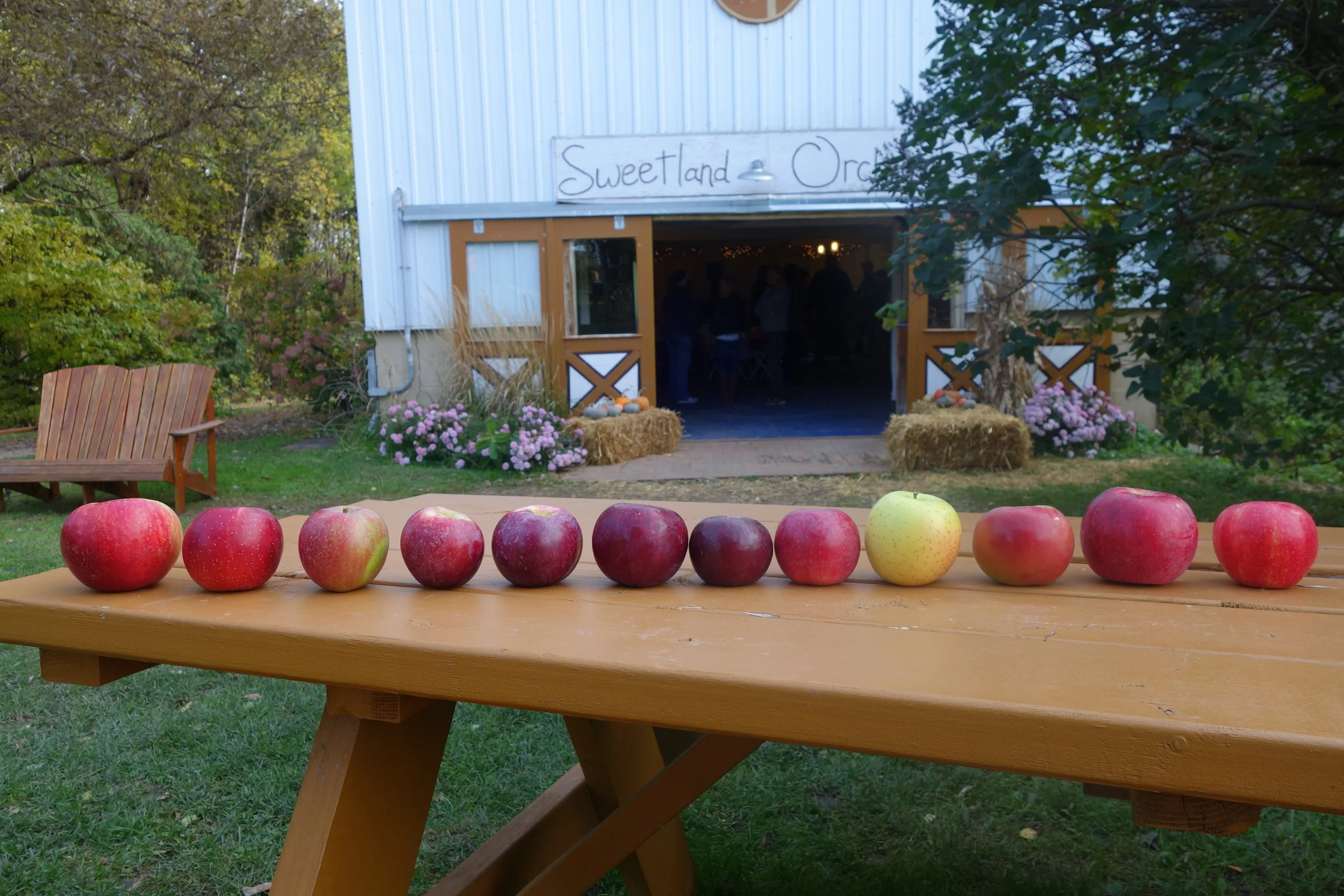2017-10-14 10.50.36 Week Five Apples.jpg