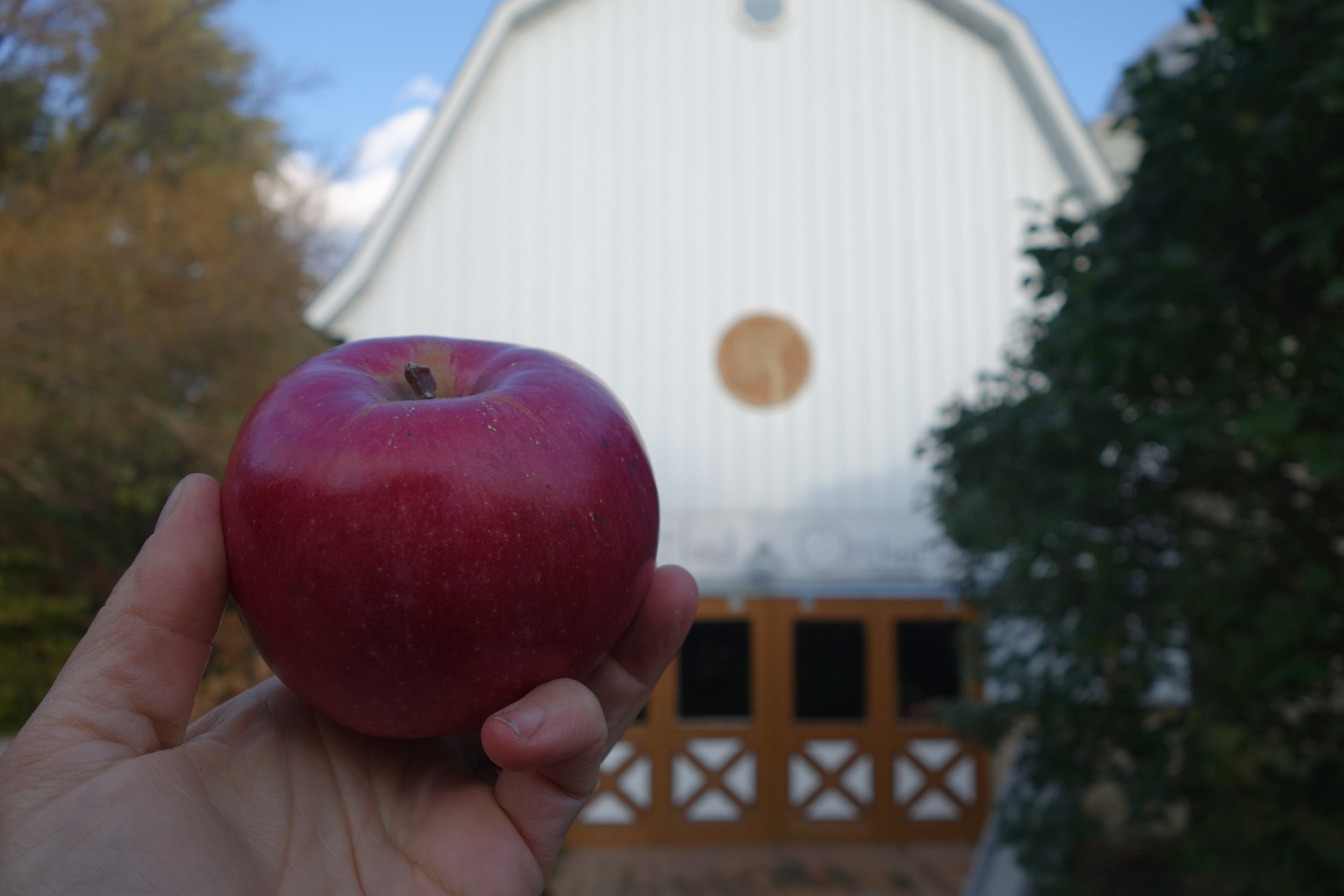 2018-10-12 17.14.32 Northern Spy.jpg