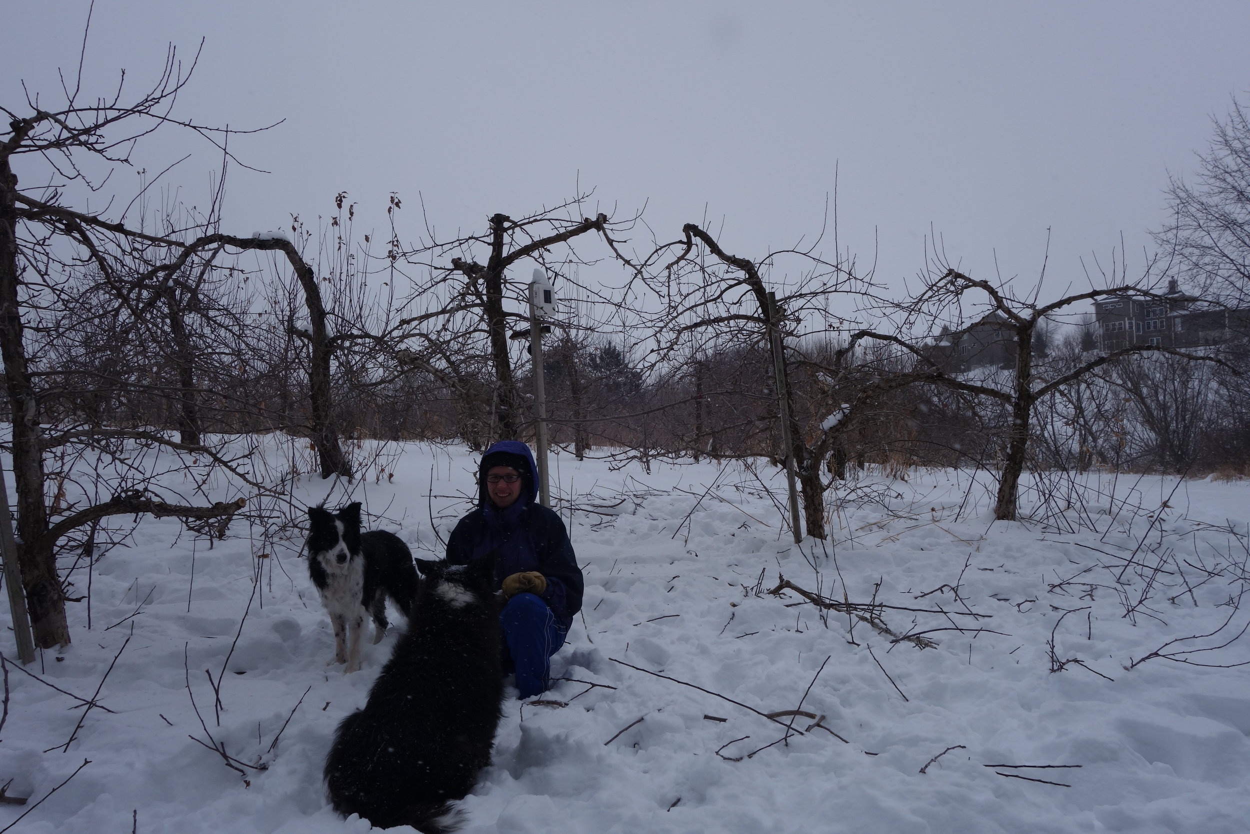 First Day of Pruning