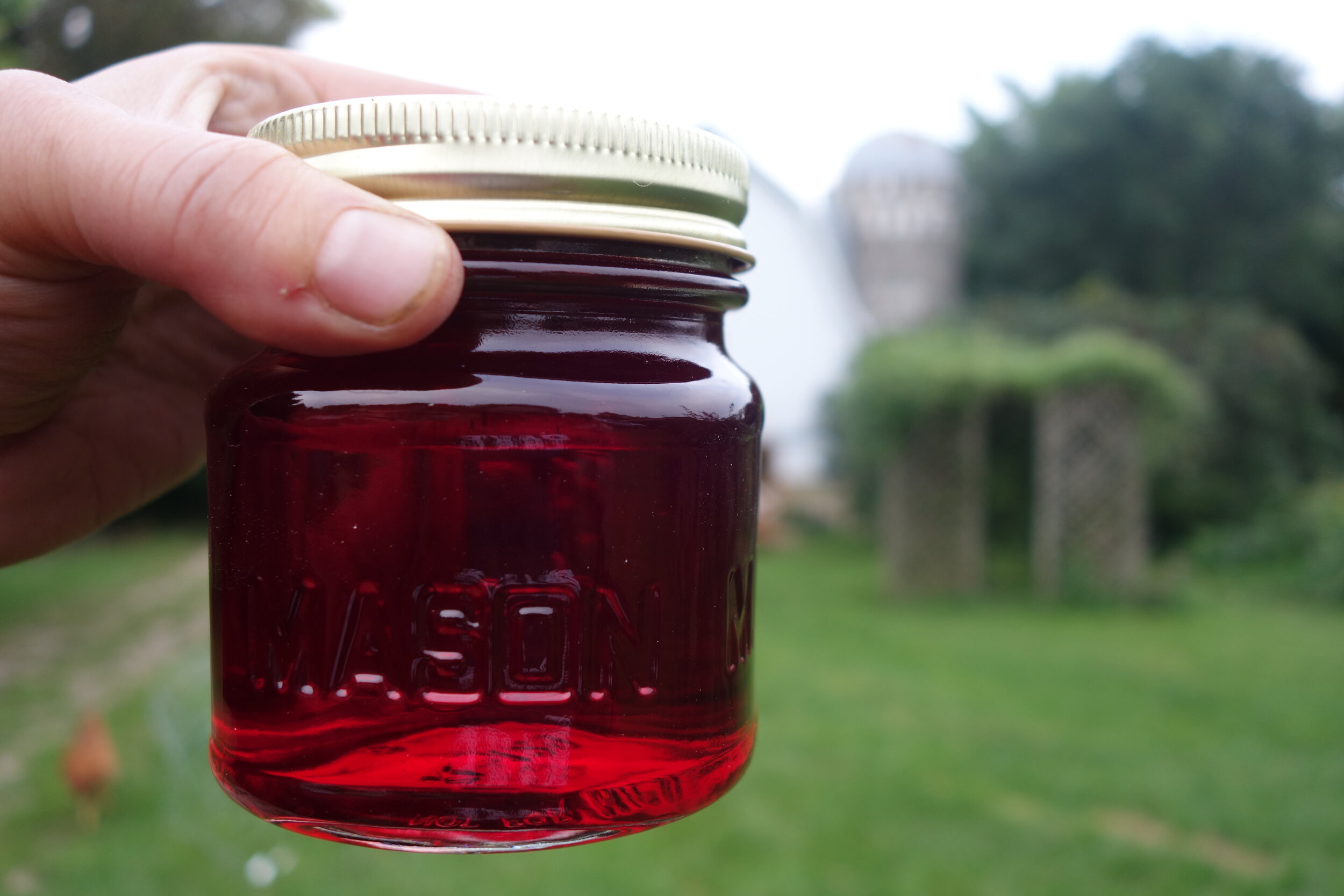 2017-09-01 19.03.05 Dolgo jelly.jpg