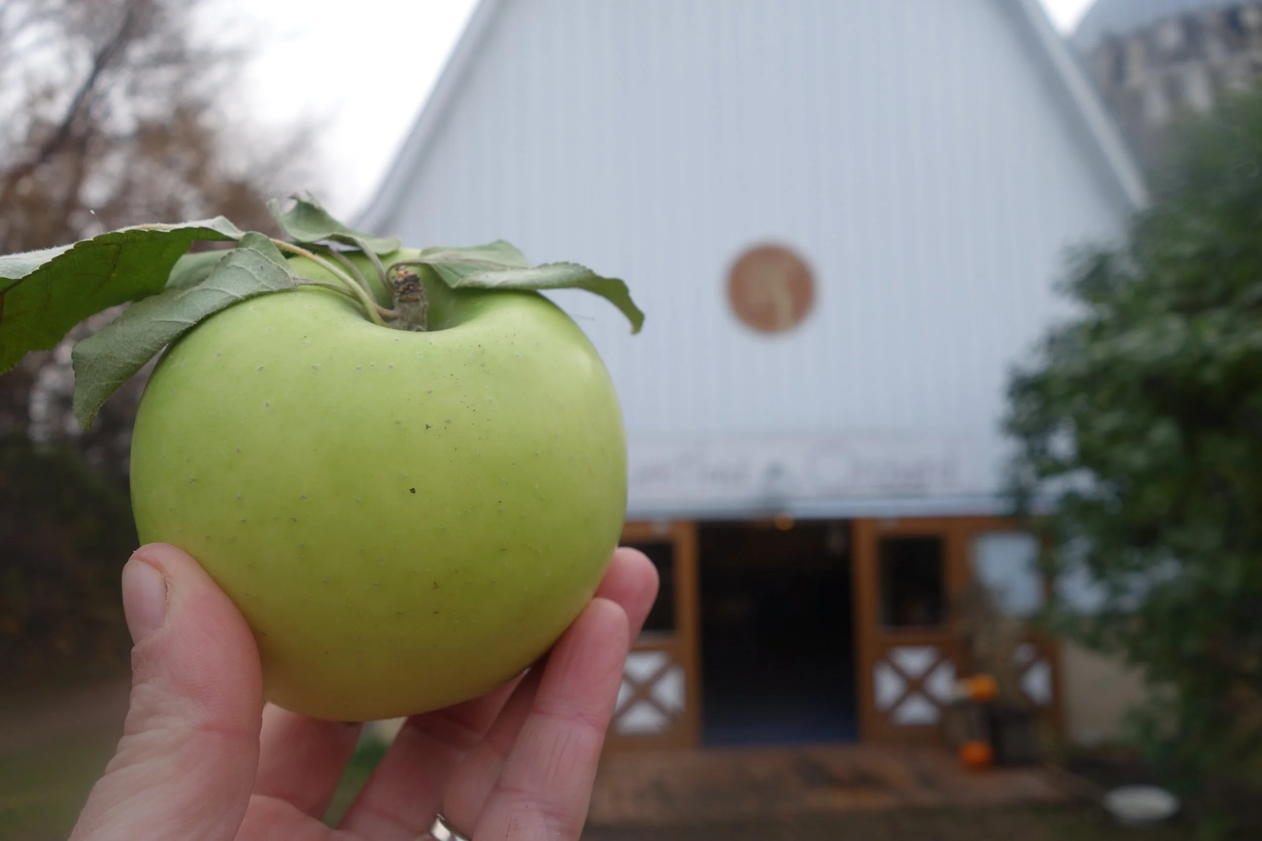 2018-10-27 09.51.20 NW Greening.jpg