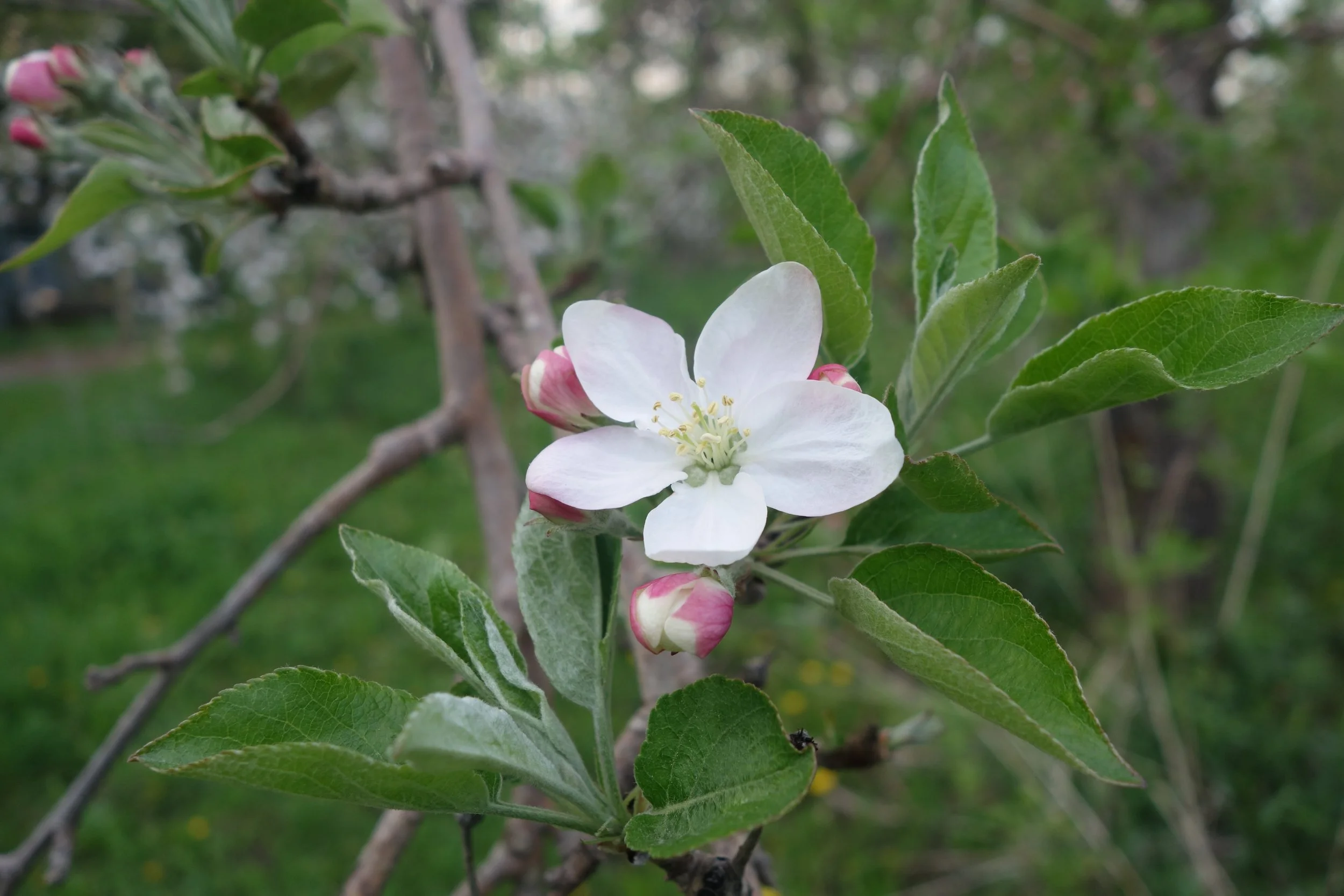 2019-05-15 19.46.44 Keepsake.jpg