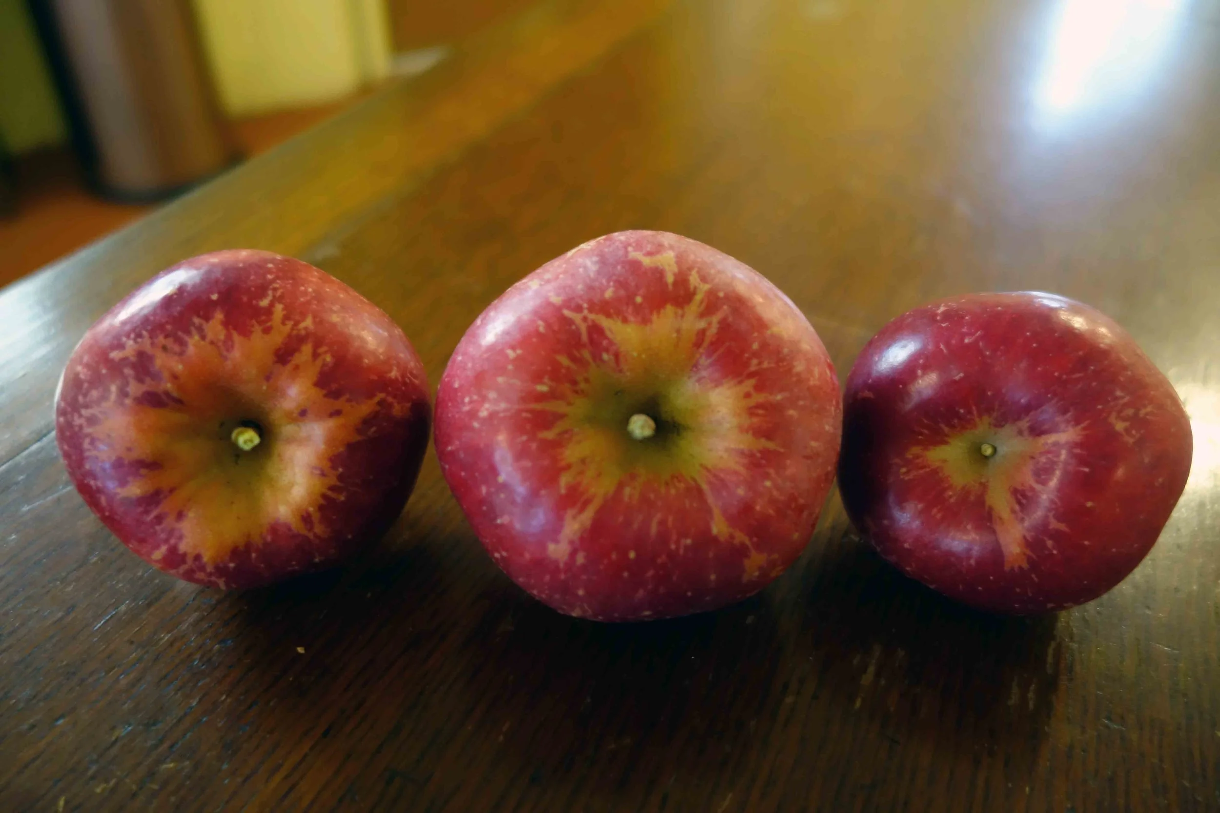 Keepsake pentagons 2.JPG