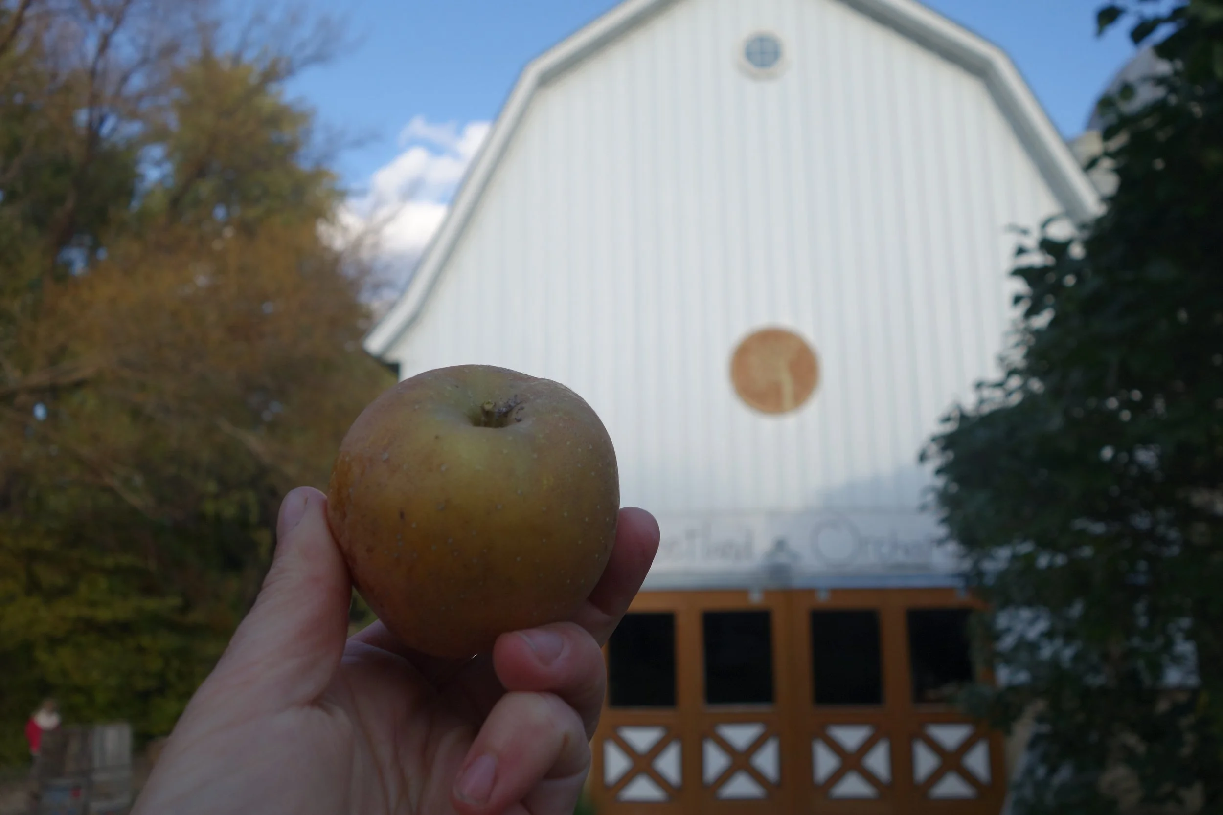 2018-10-12 17.14.12 Golden Russet.jpg
