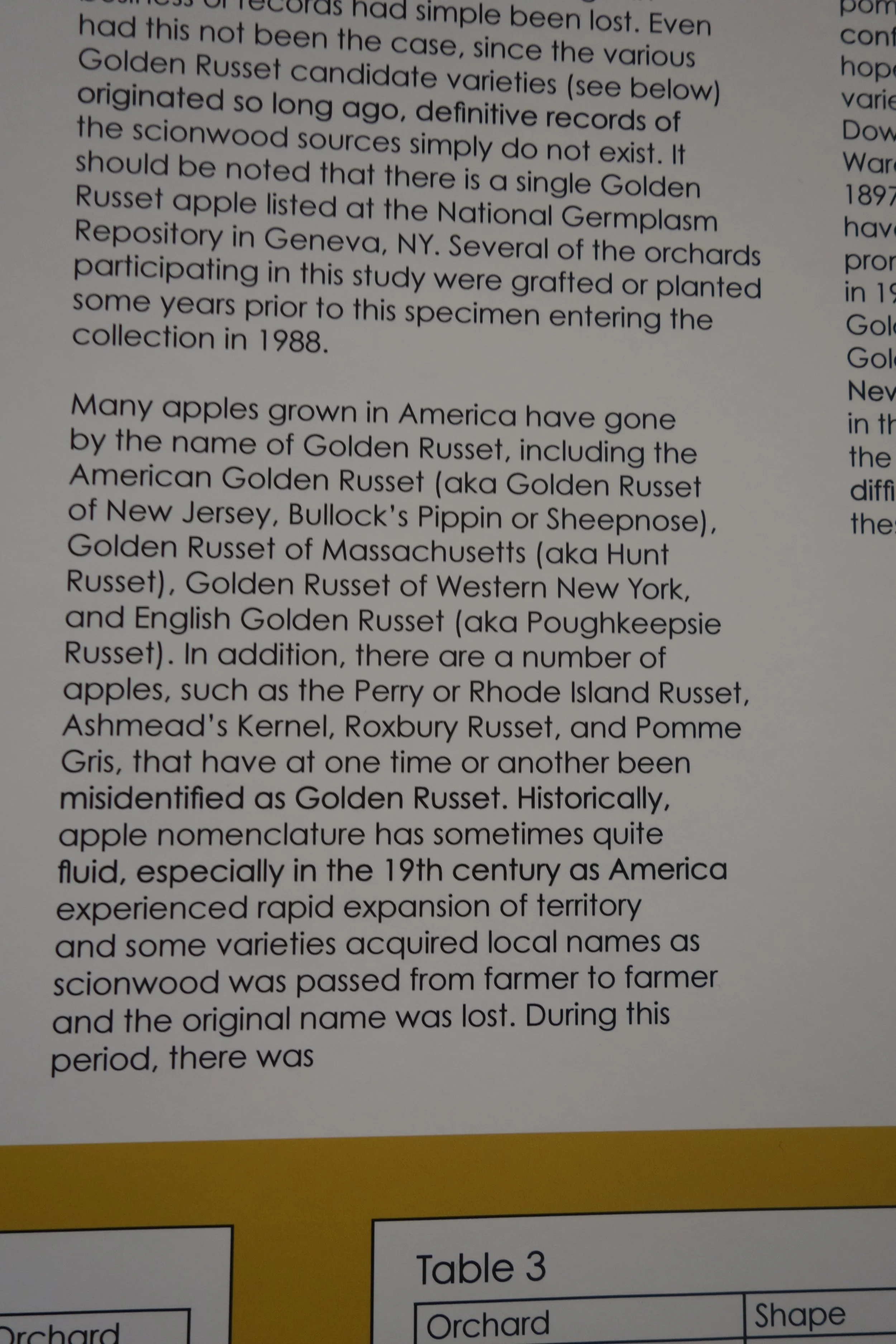 Golden Russet notes.JPG