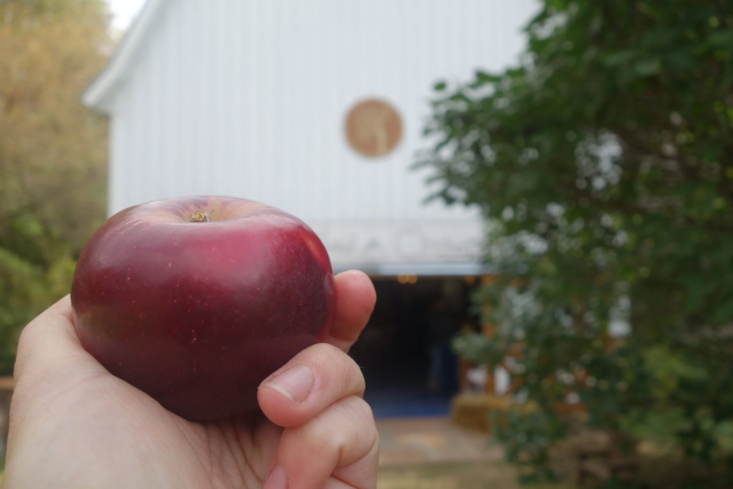 2018-09-30 11.45.45 Ruby Jon.jpeg