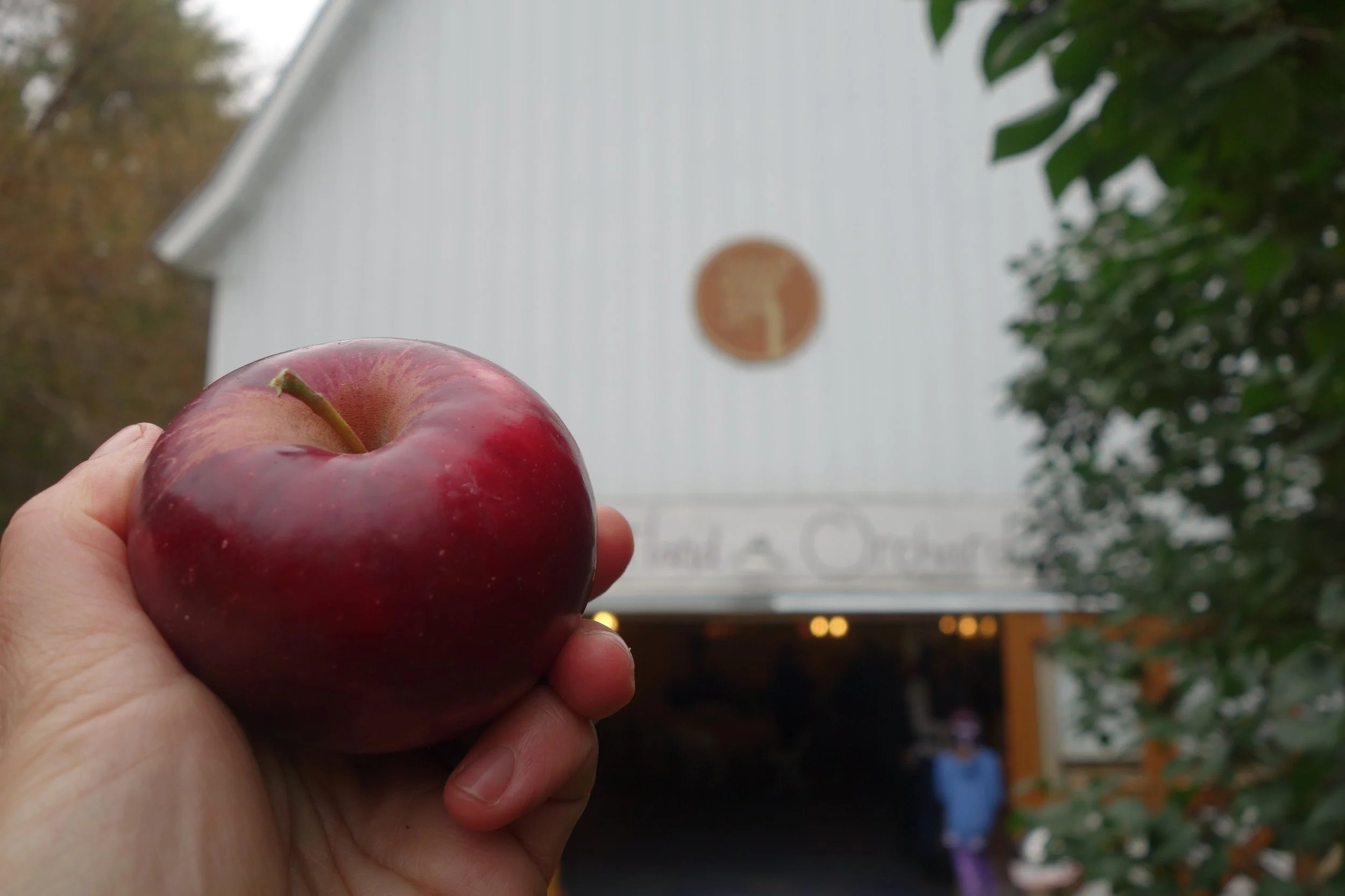 2018-10-07 16.01.29 Ruby Jon.jpeg