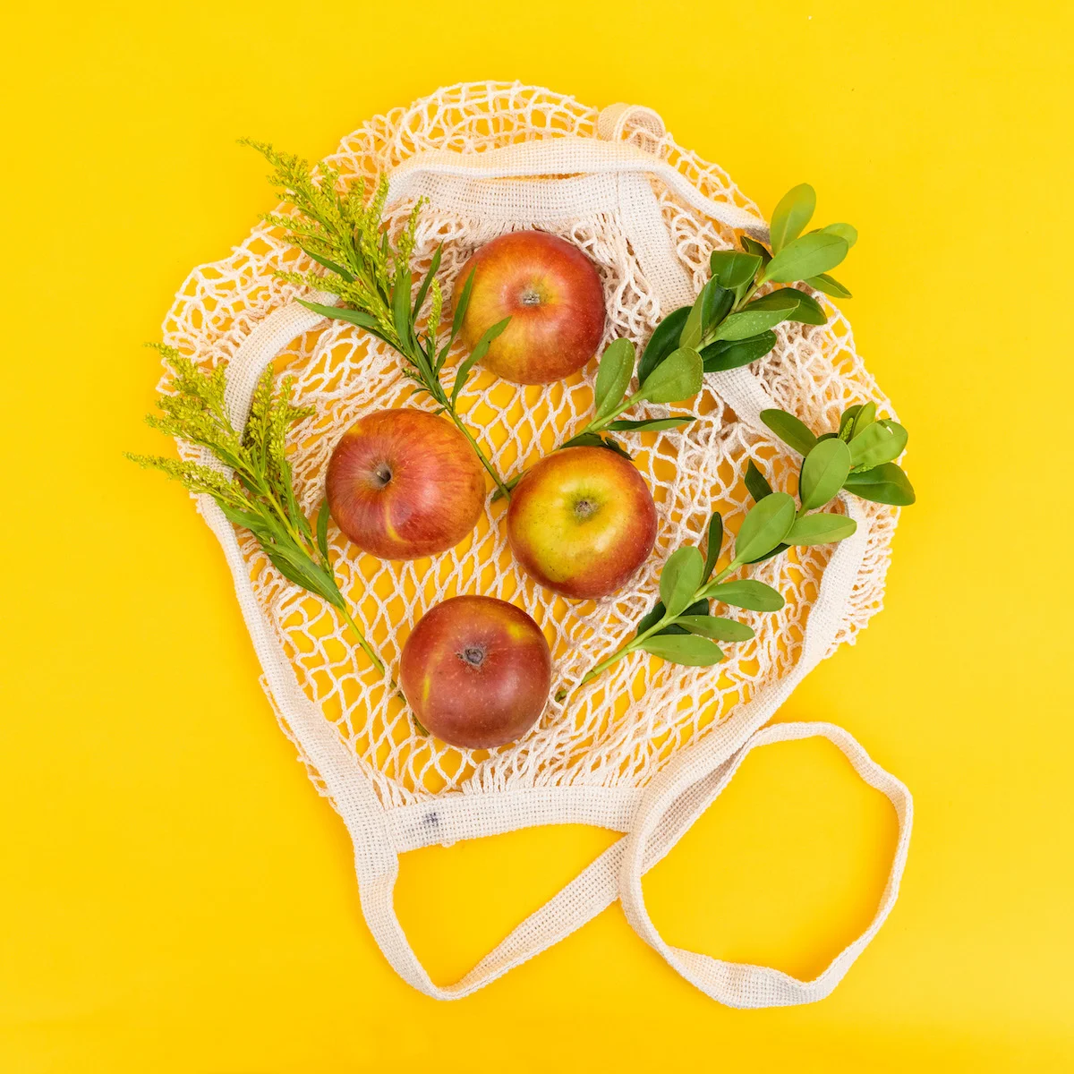 Sifted_April_2019-5.jpg