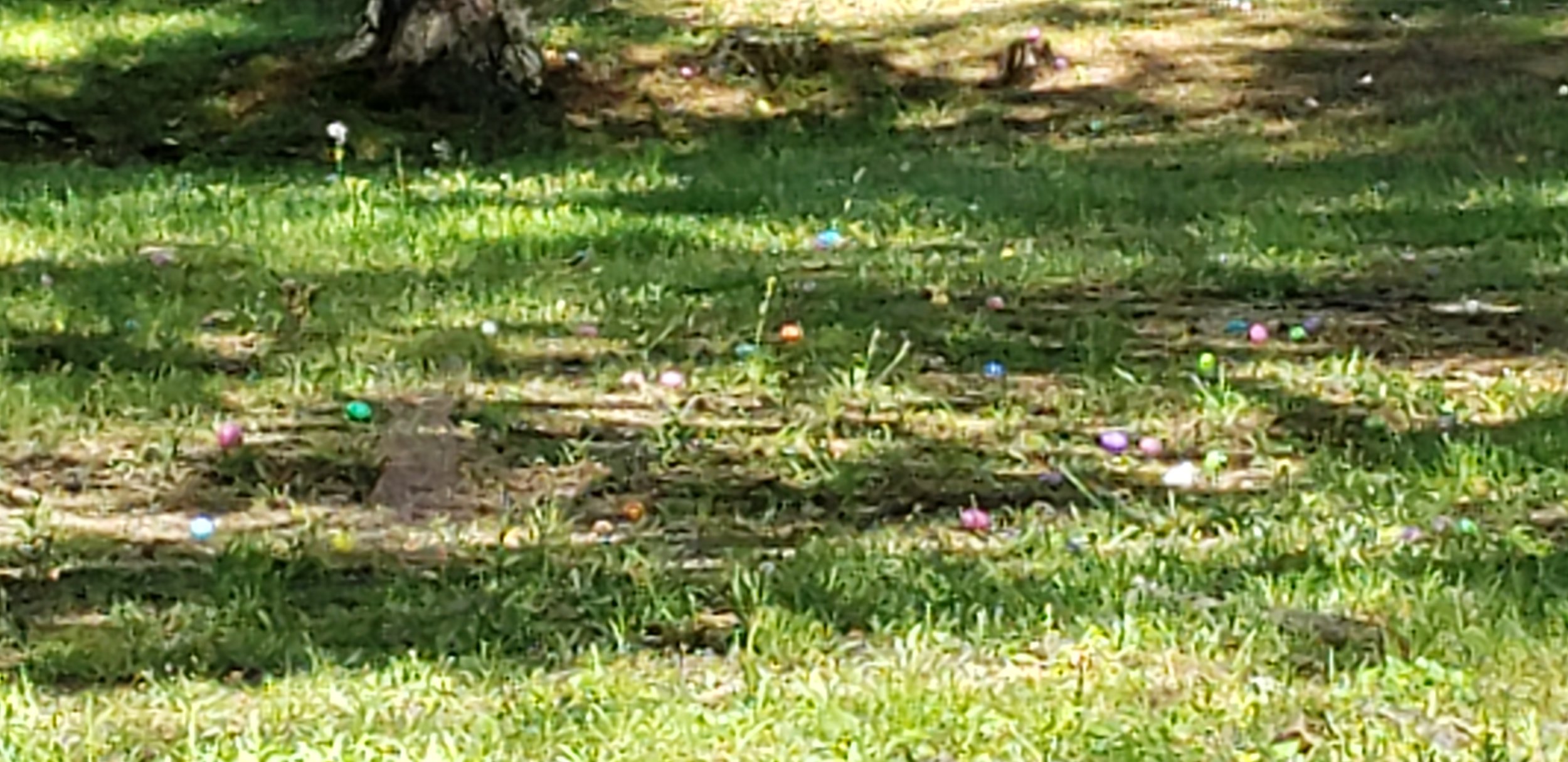 20190420_104842.jpg