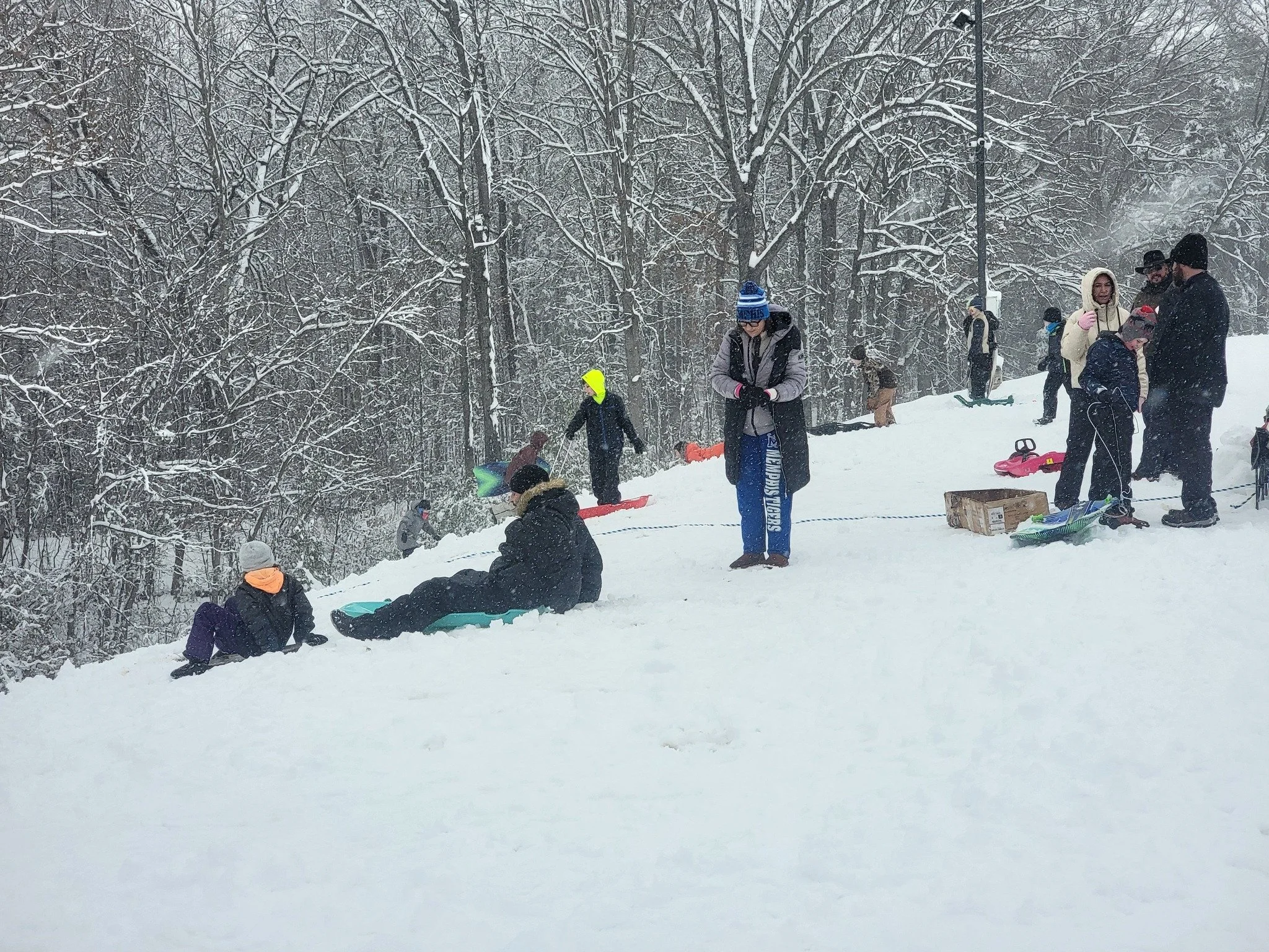 sled 2.jpg