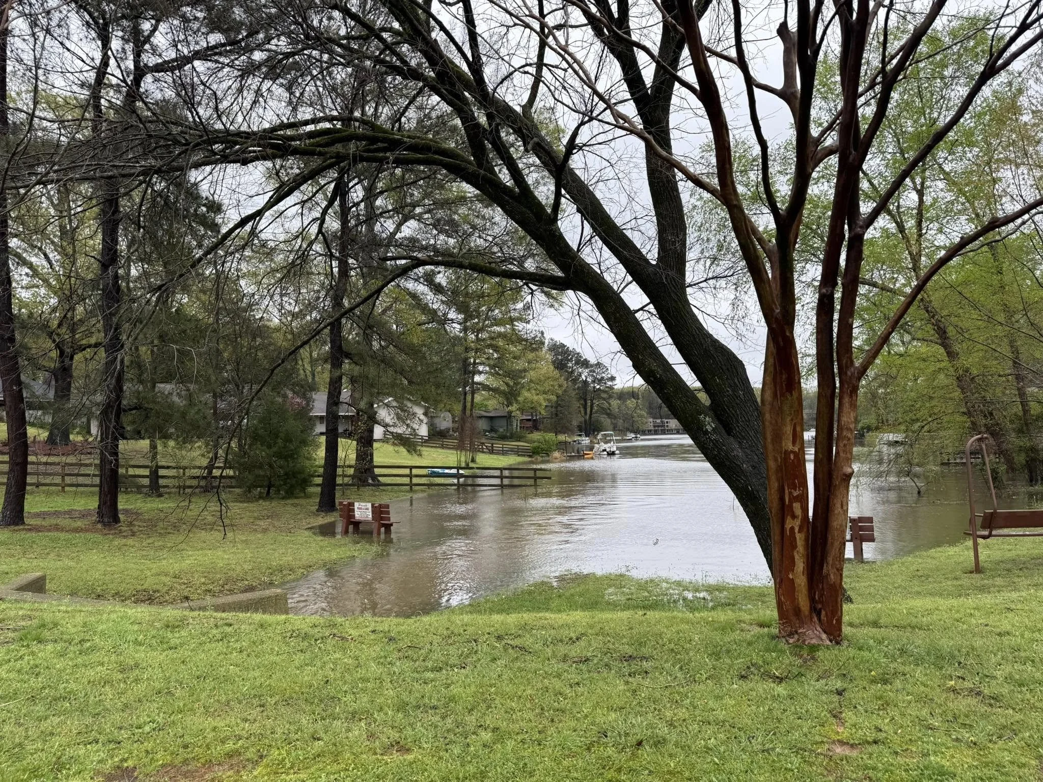 april showers 3.jpg