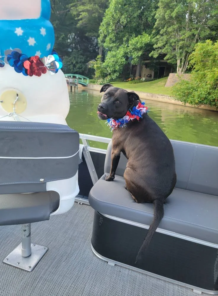 boat 18.jpg