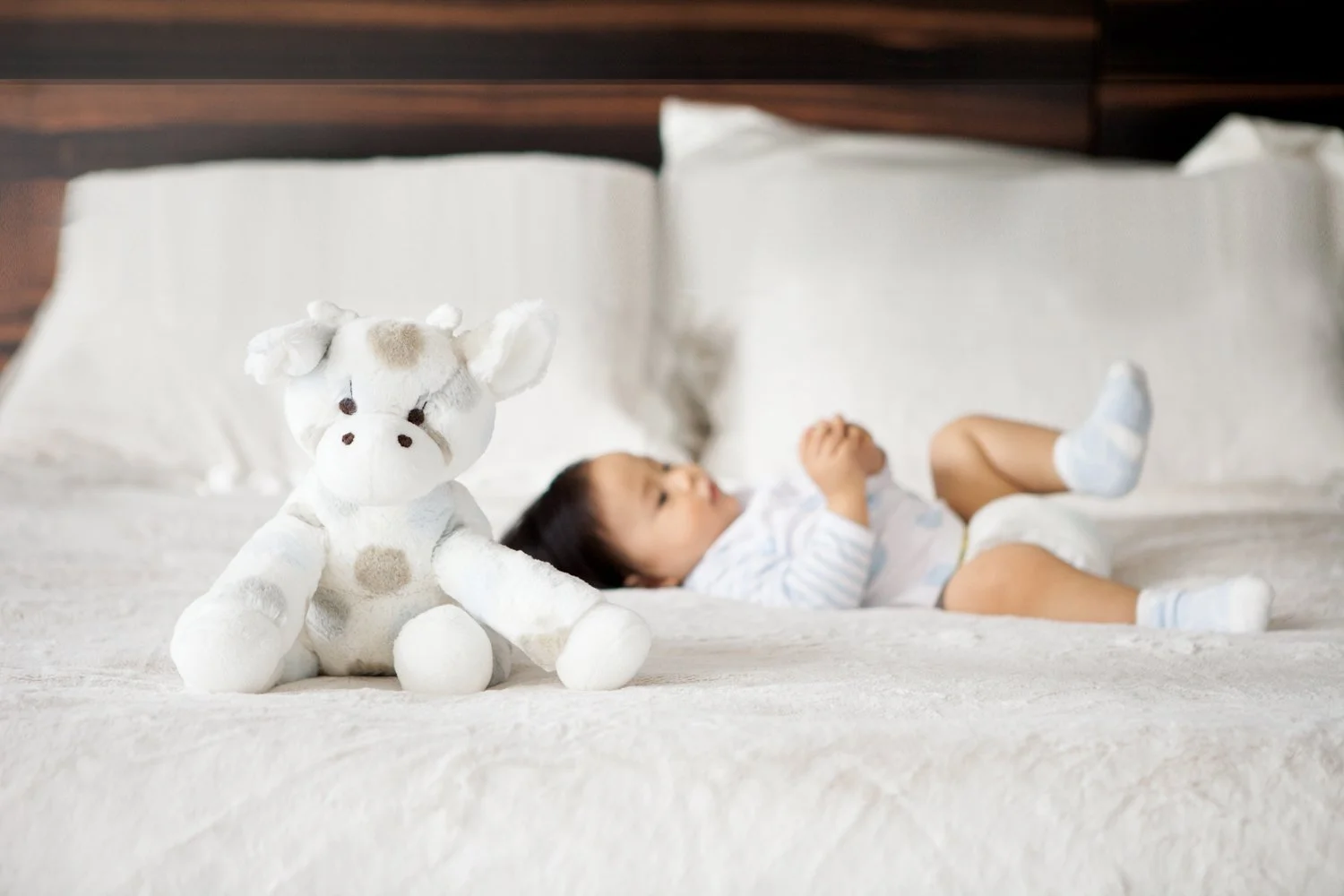 LGSource_PlushToyDiv_Volume1 2.jpg
