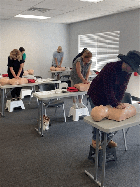 cpr image 4.gif