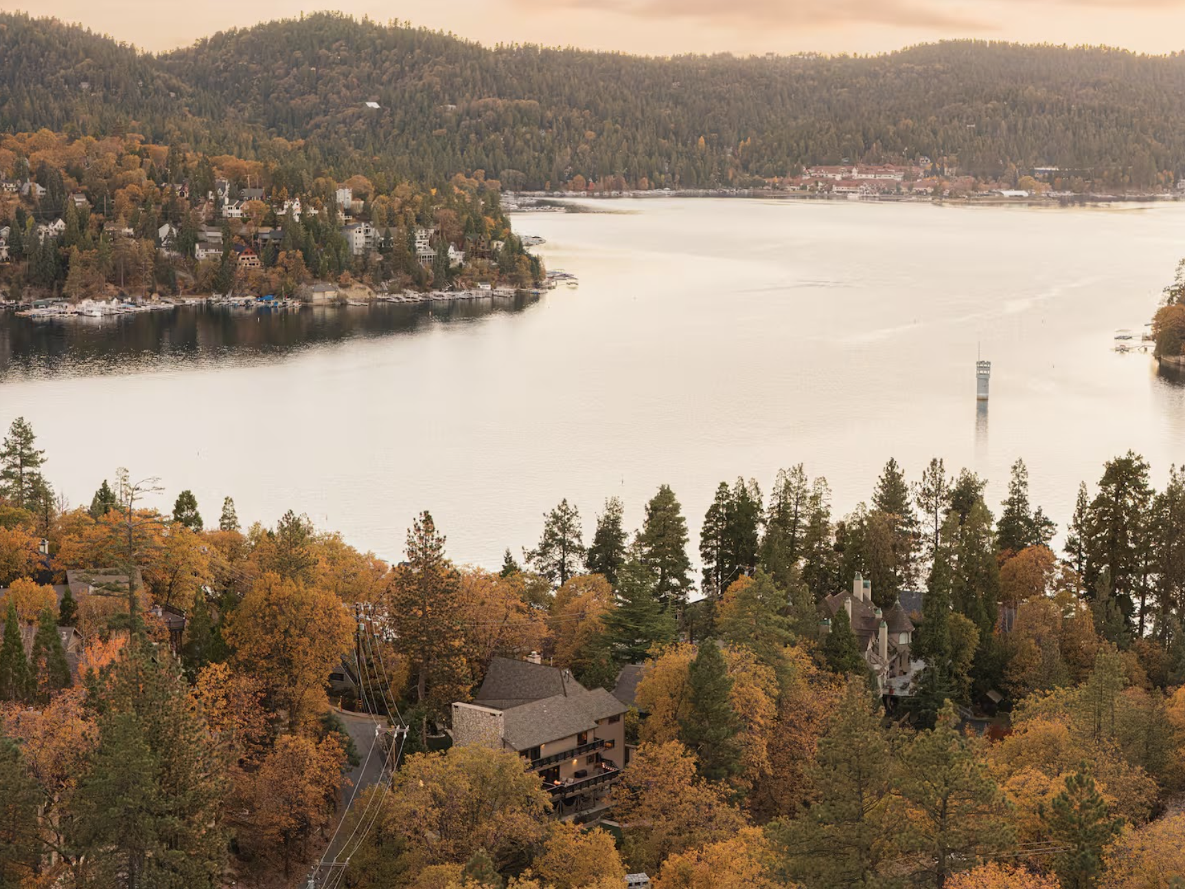 Screen Shot 2026-02-11 at 8.24.06 PM.png