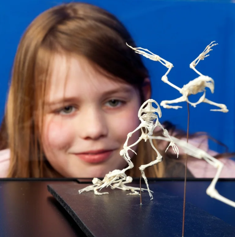 Erin and frogs TEG page.jpg