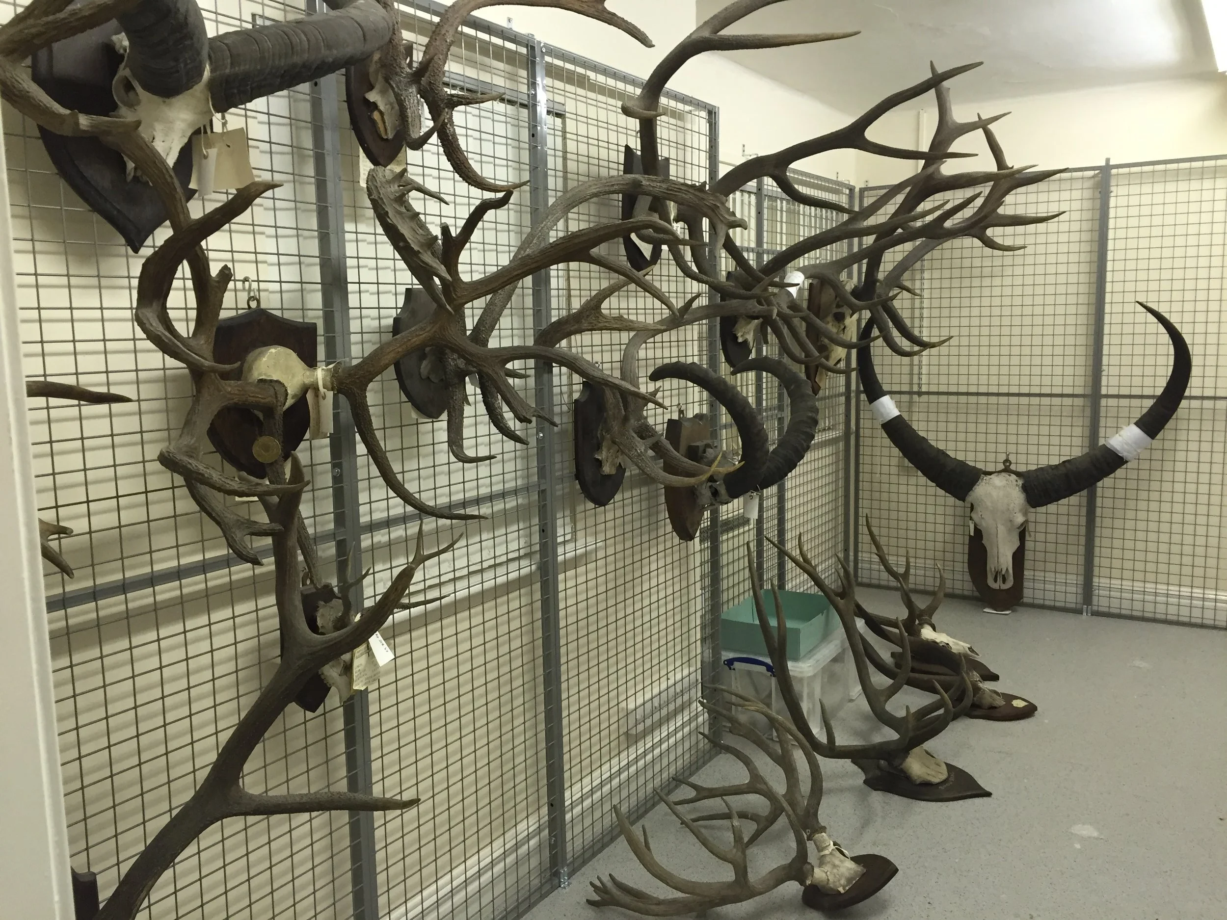 curation drill down.JPG