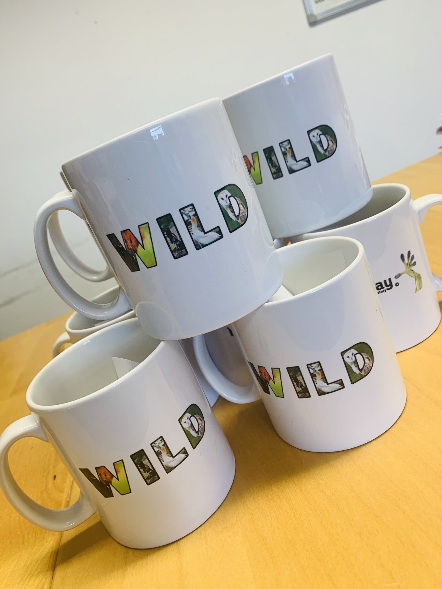 WILD mugs.jpeg